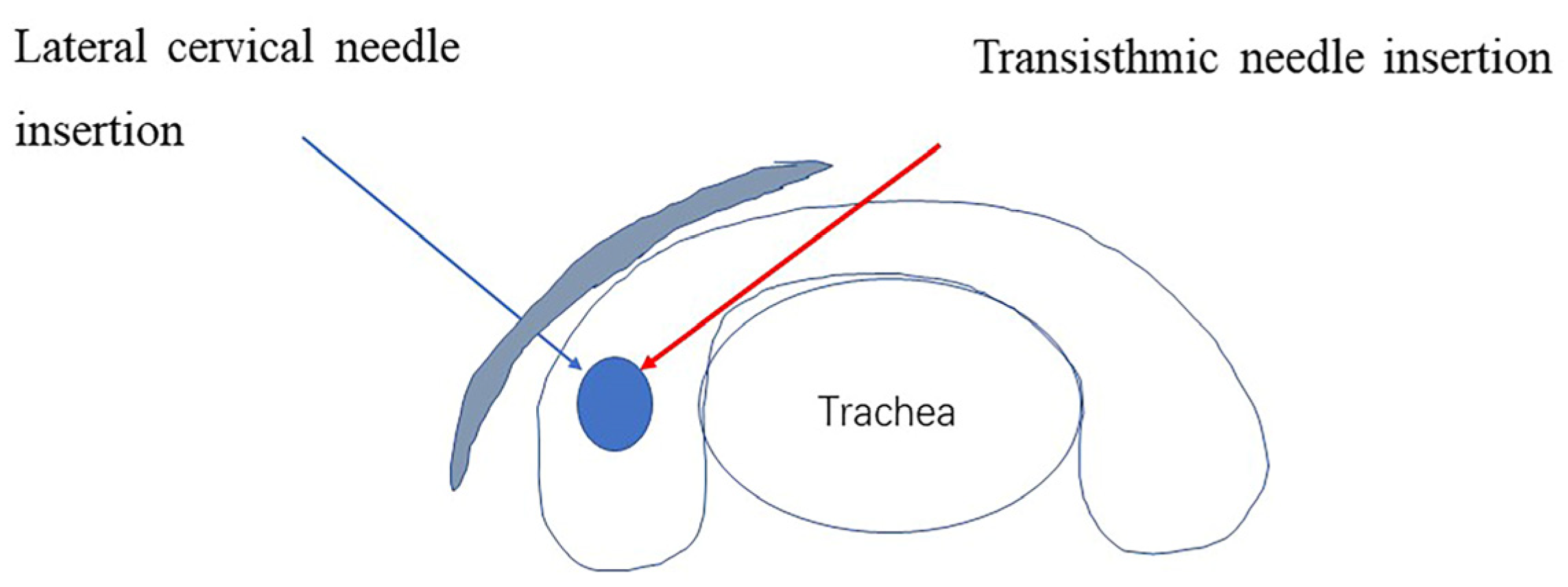 Medicina 58 01639 g003