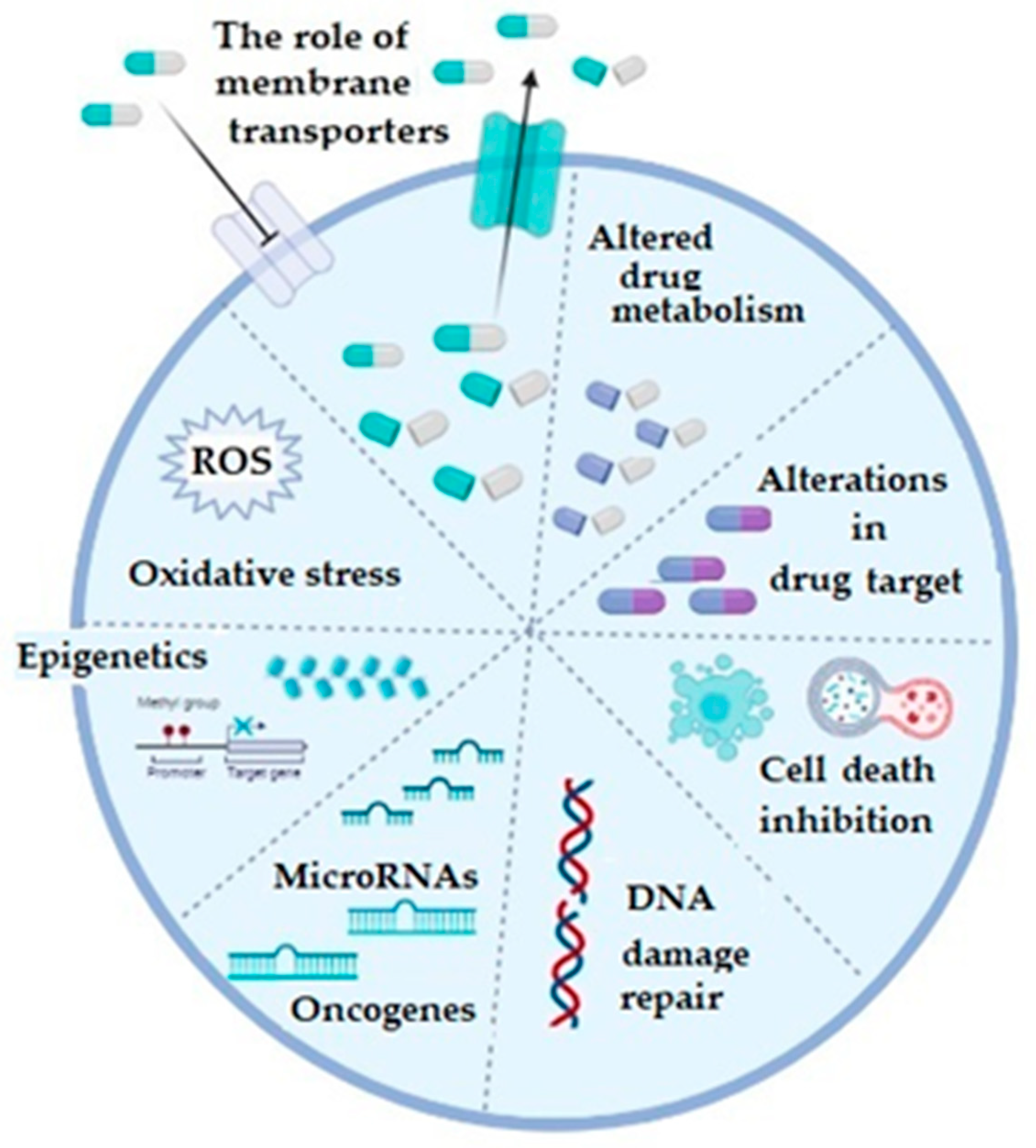 Medicina 58 01660 g001 Medicina 58 01660 g001