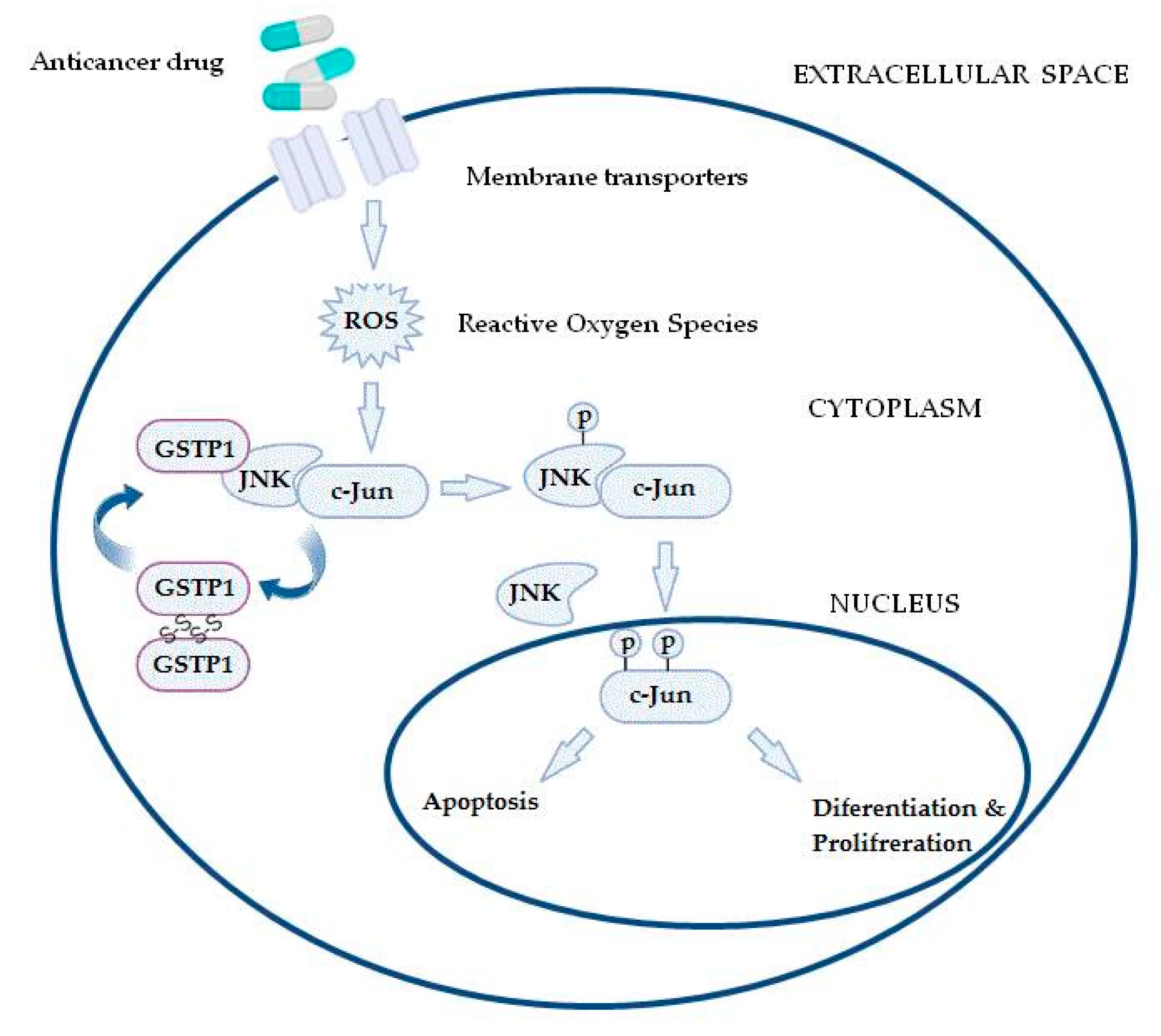 Medicina 58 01660 g002 Medicina 58 01660 g002