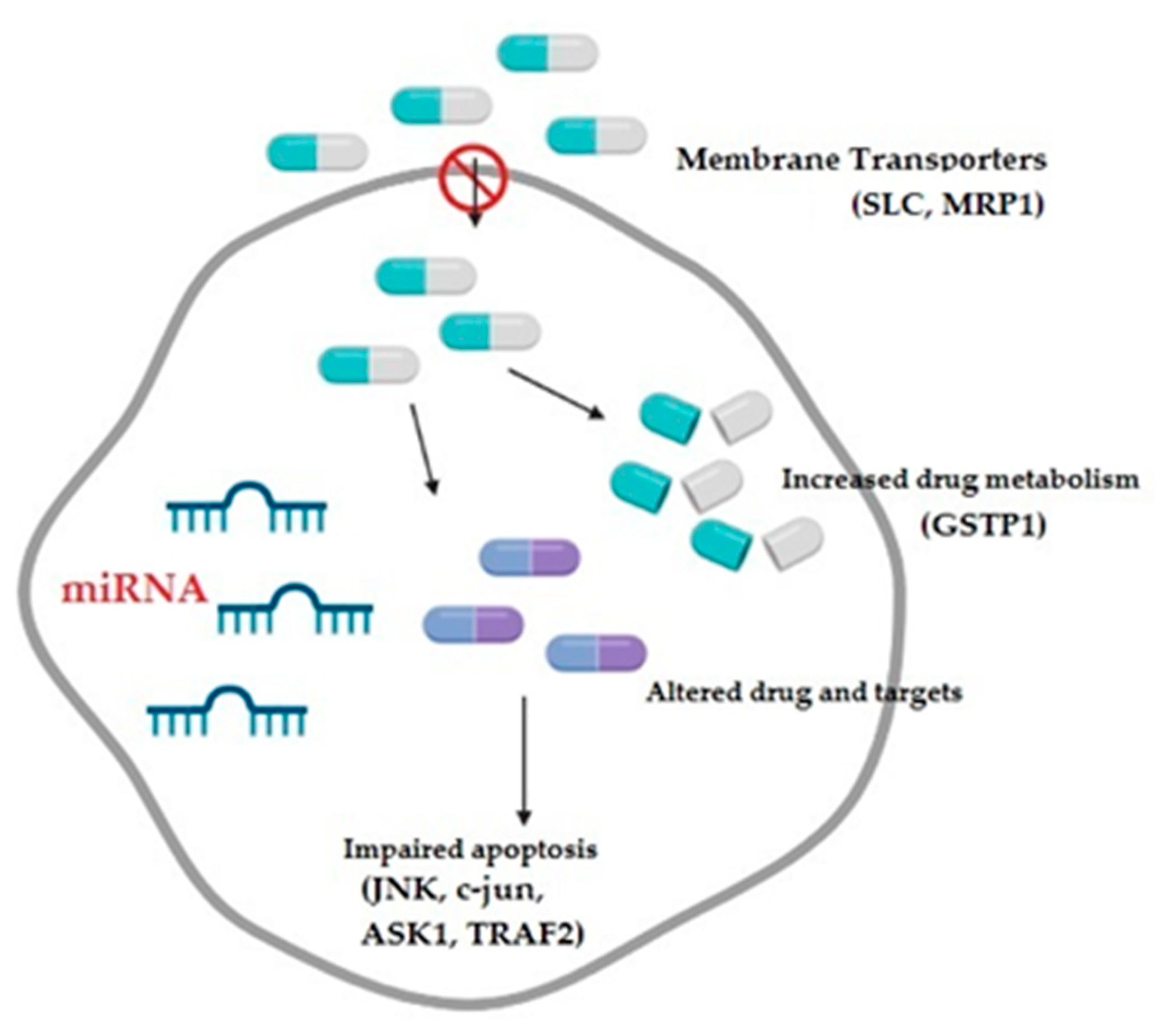 Medicina 58 01660 g003 Medicina 58 01660 g003