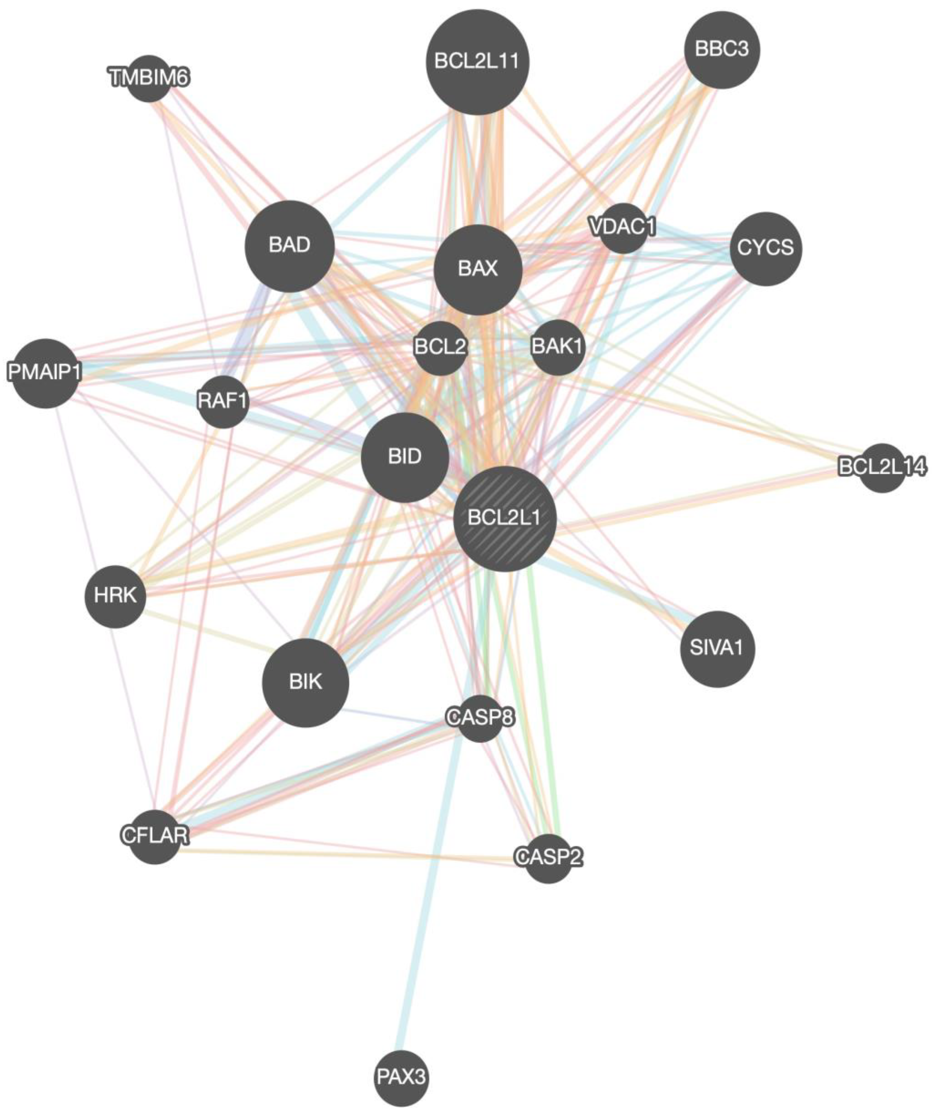 Medicina 58 01663 g003 Medicina 58 01663 g003