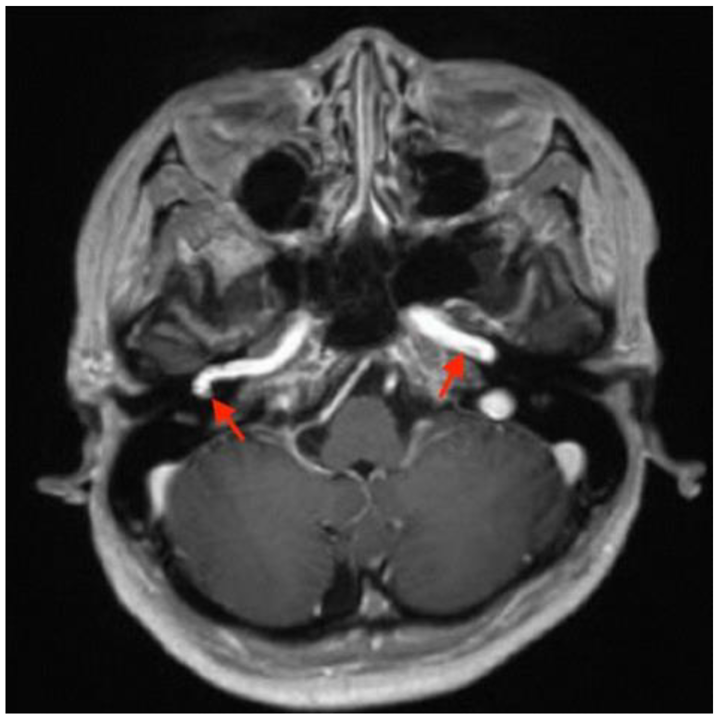 Medicina 58 01672 g005 Medicina 58 01672 g005