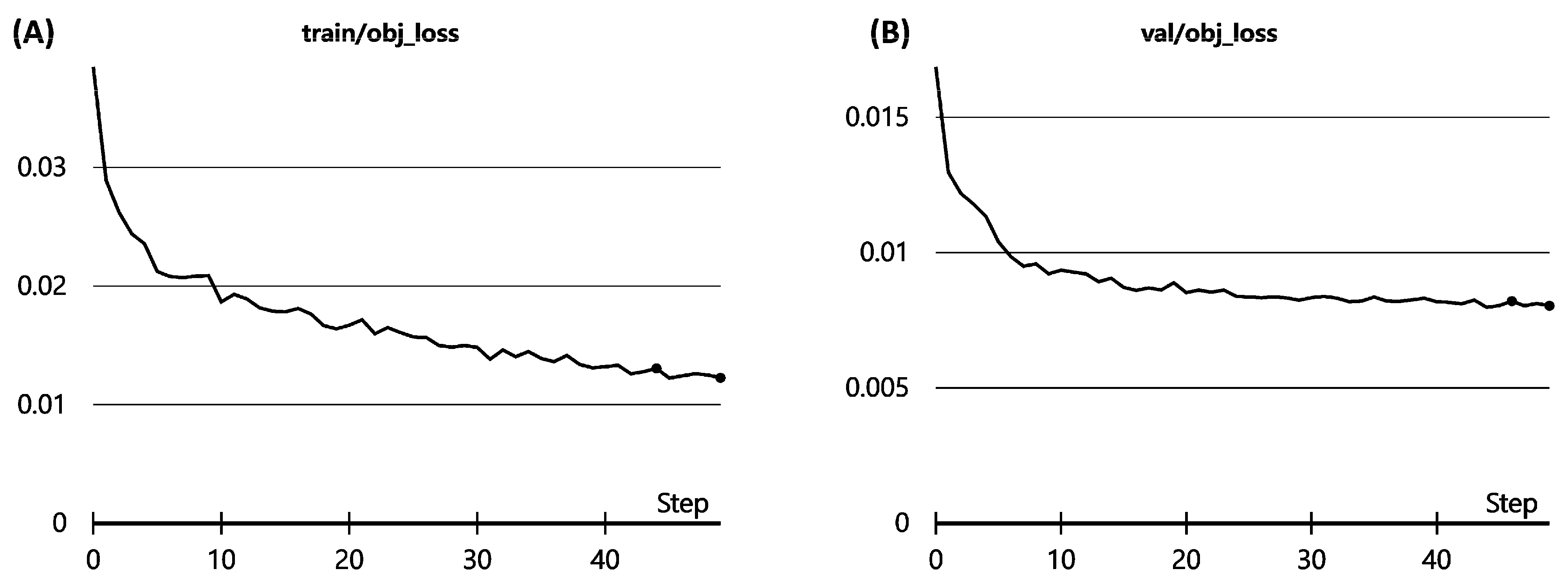 Medicina 58 01677 g002