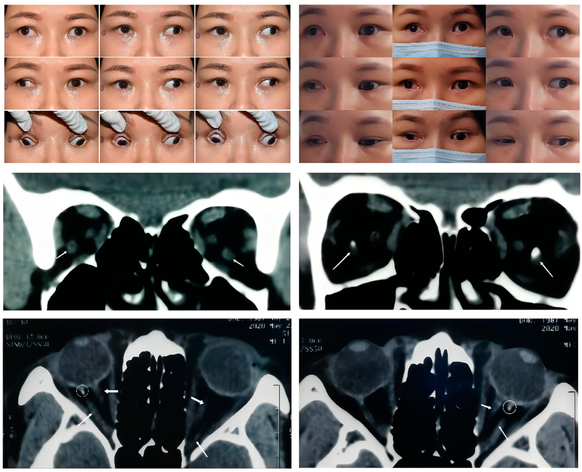 Medicina 58 01691 g001
