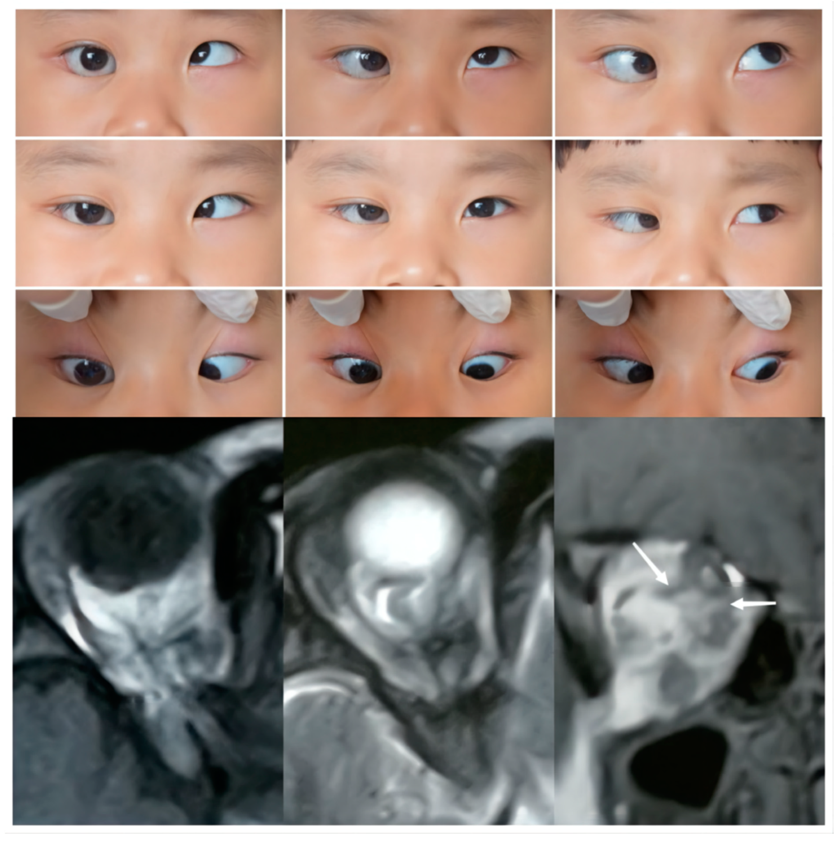 Medicina 58 01691 g002