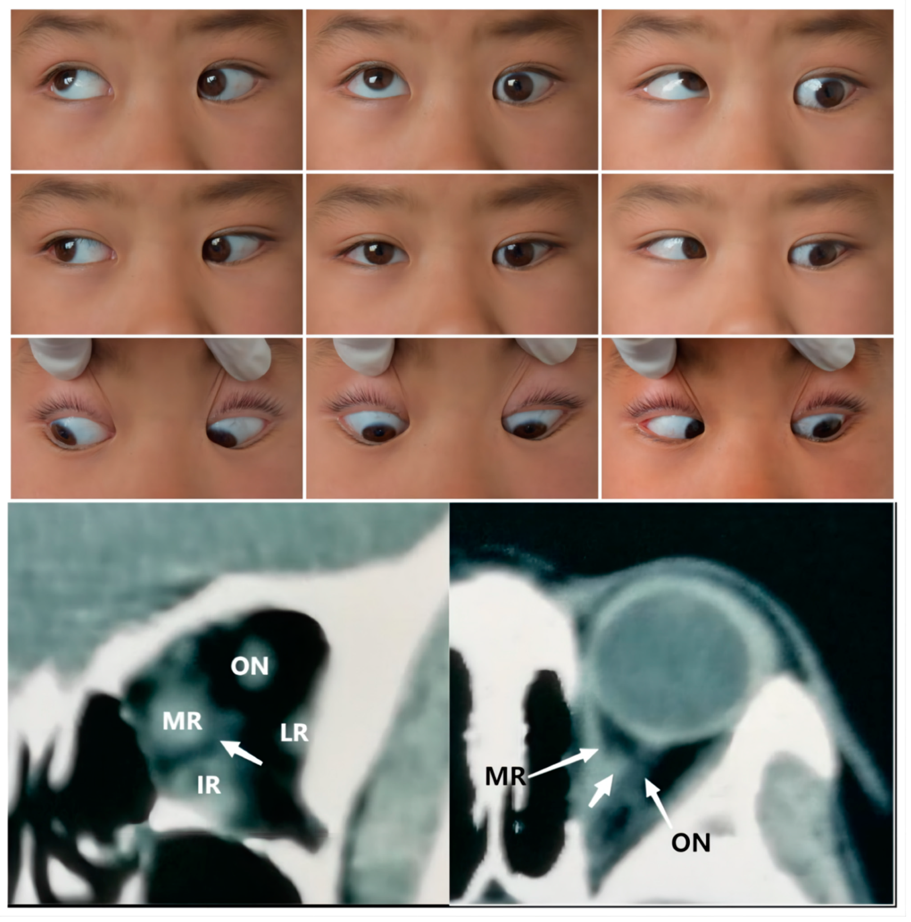 Medicina 58 01691 g003