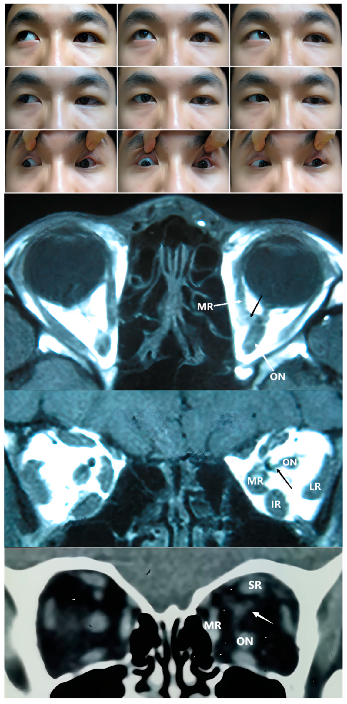 Medicina 58 01691 g004