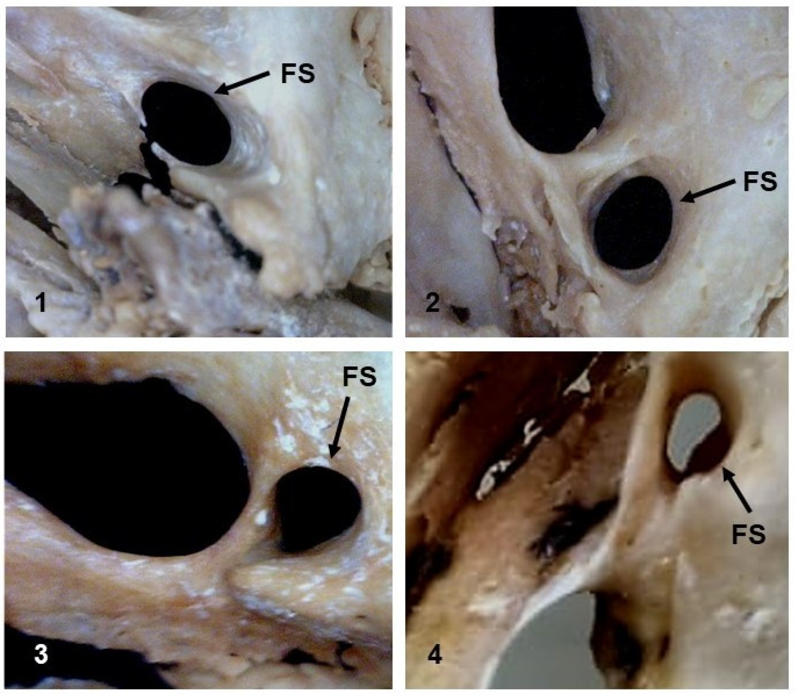 Medicina 58 01740 g006