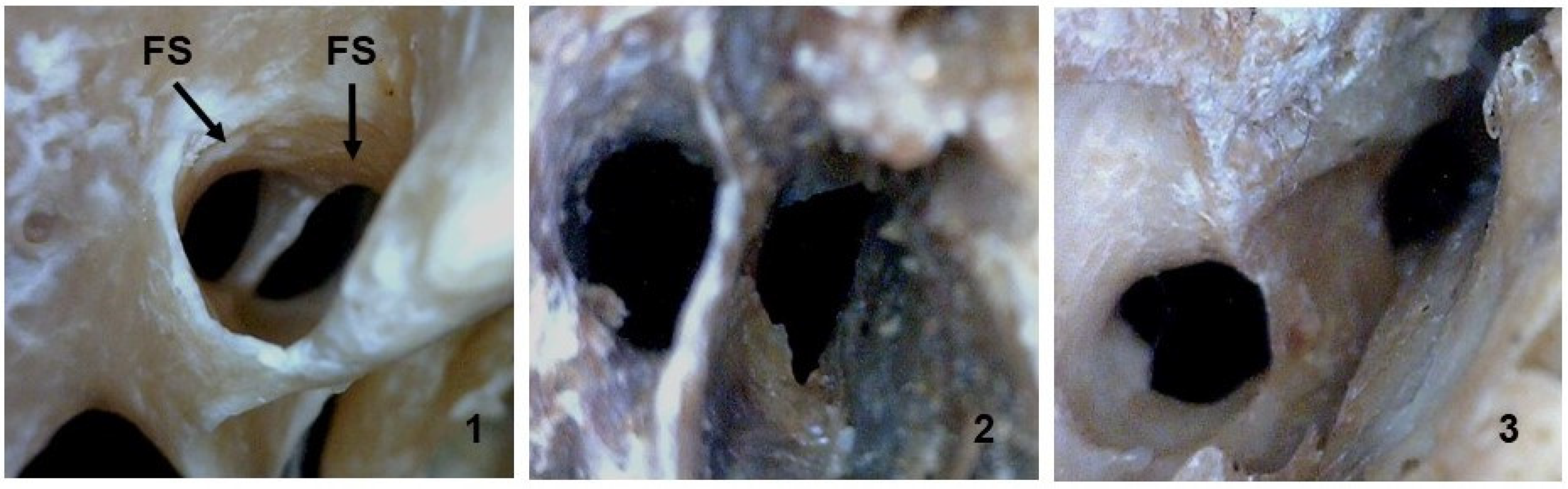 Medicina 58 01740 g007