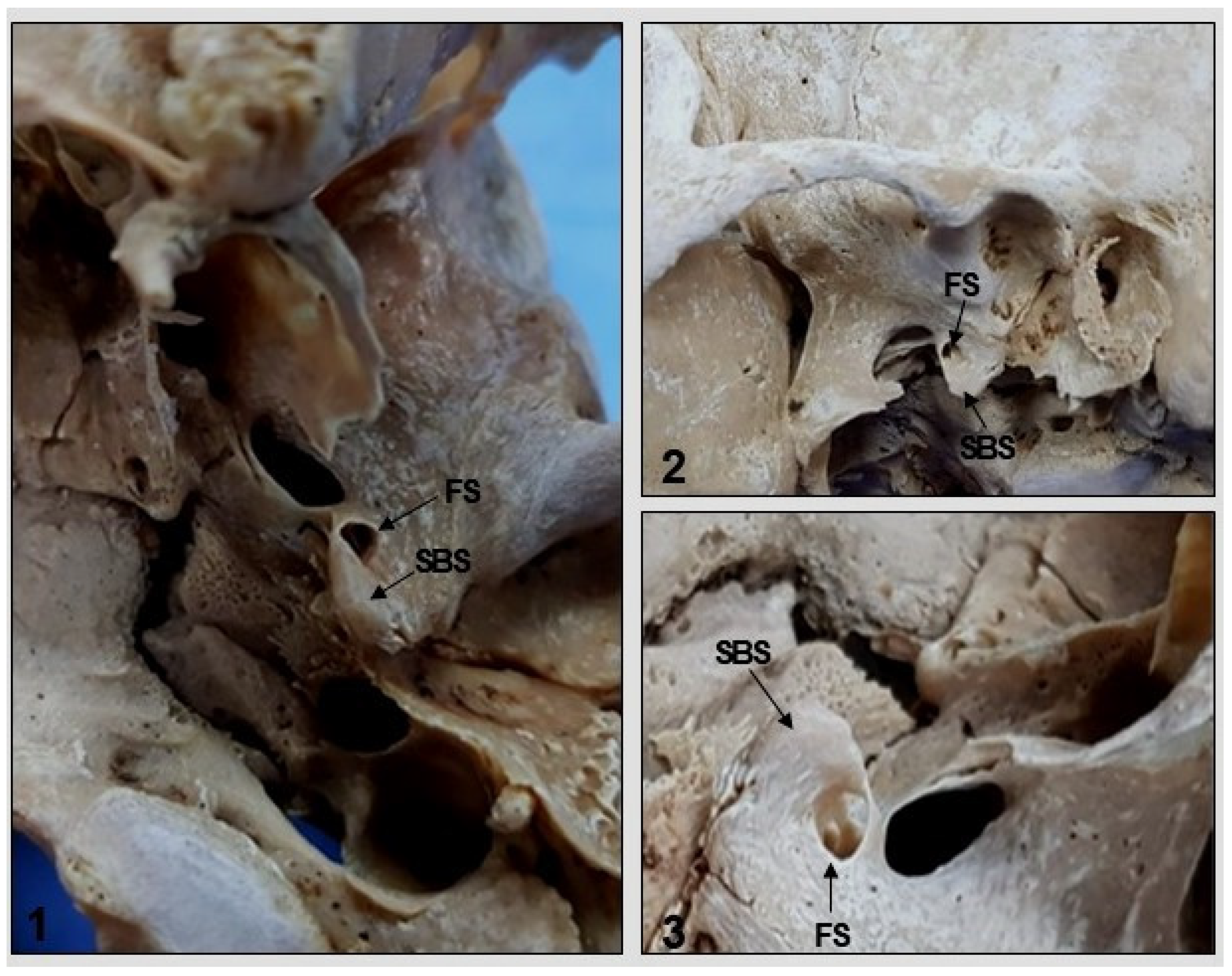Medicina 58 01740 g008