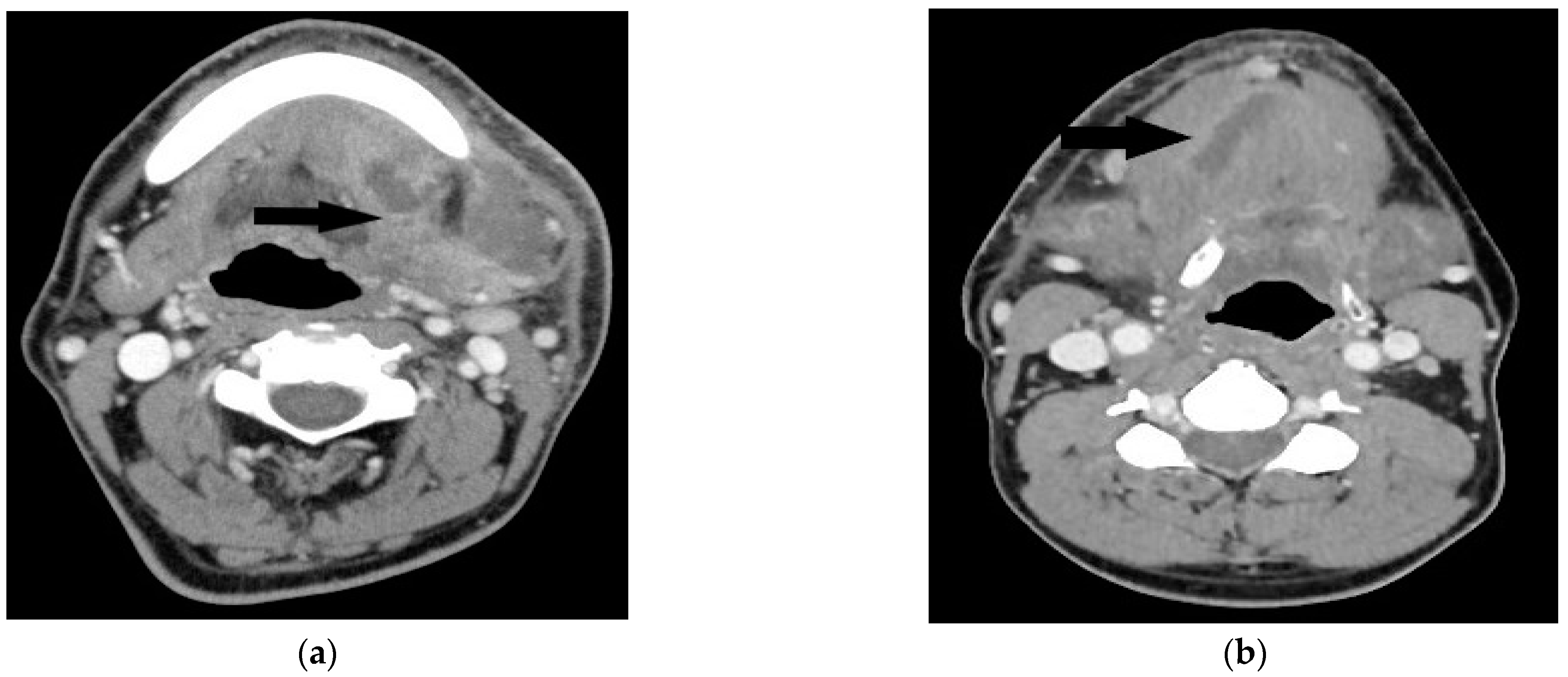 Medicina 58 01758 g001 Medicina 58 01758 g001