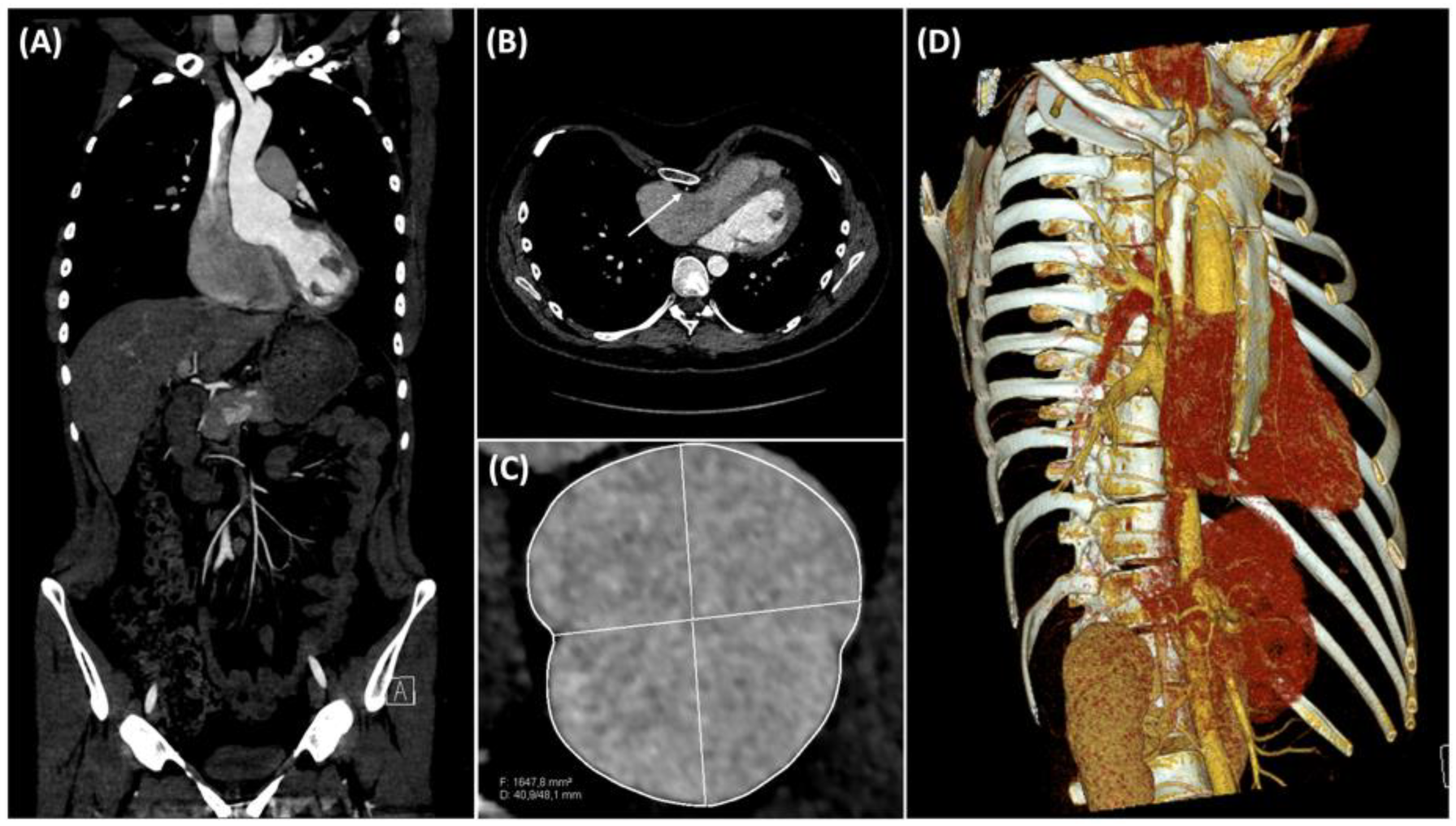 Medicina 58 01774 g001