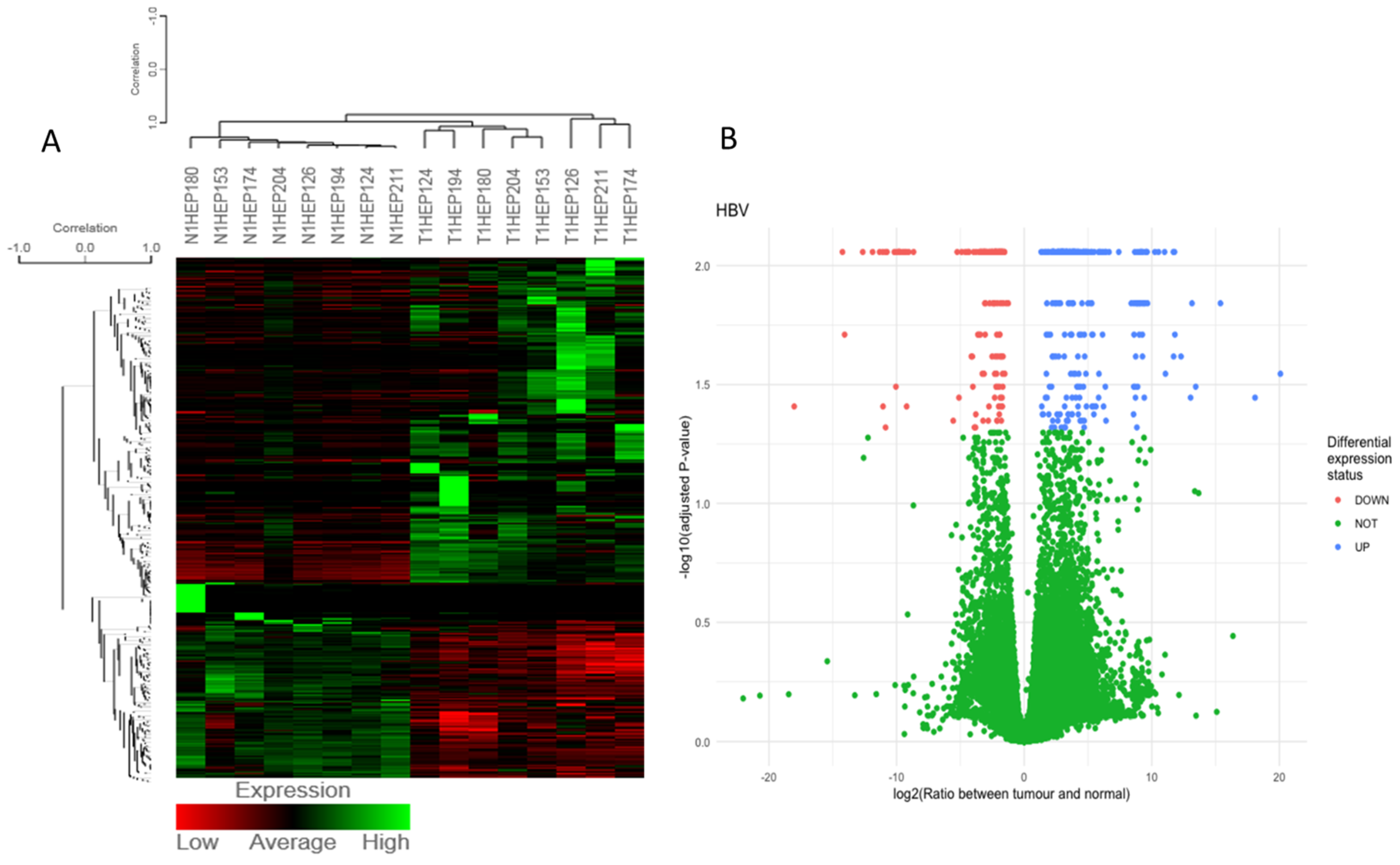 Medicina 58 01803 g003a
