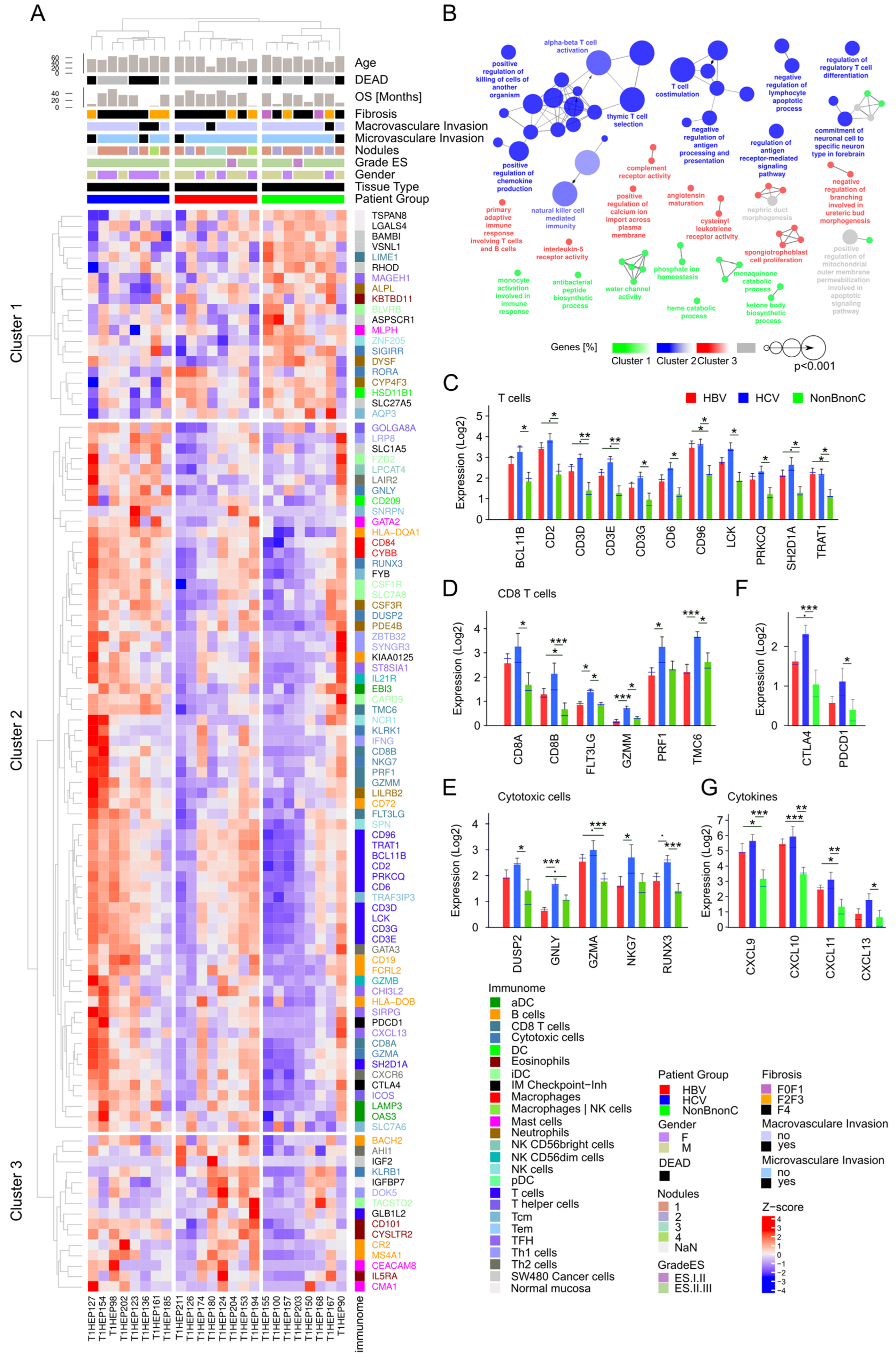 Medicina 58 01803 g008