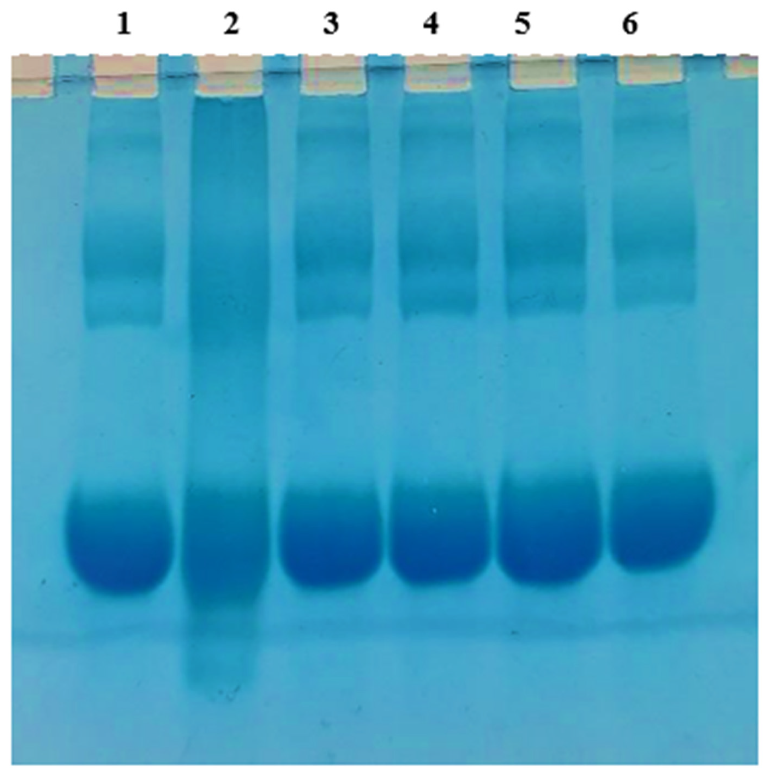 Medicina 58 01816 g011