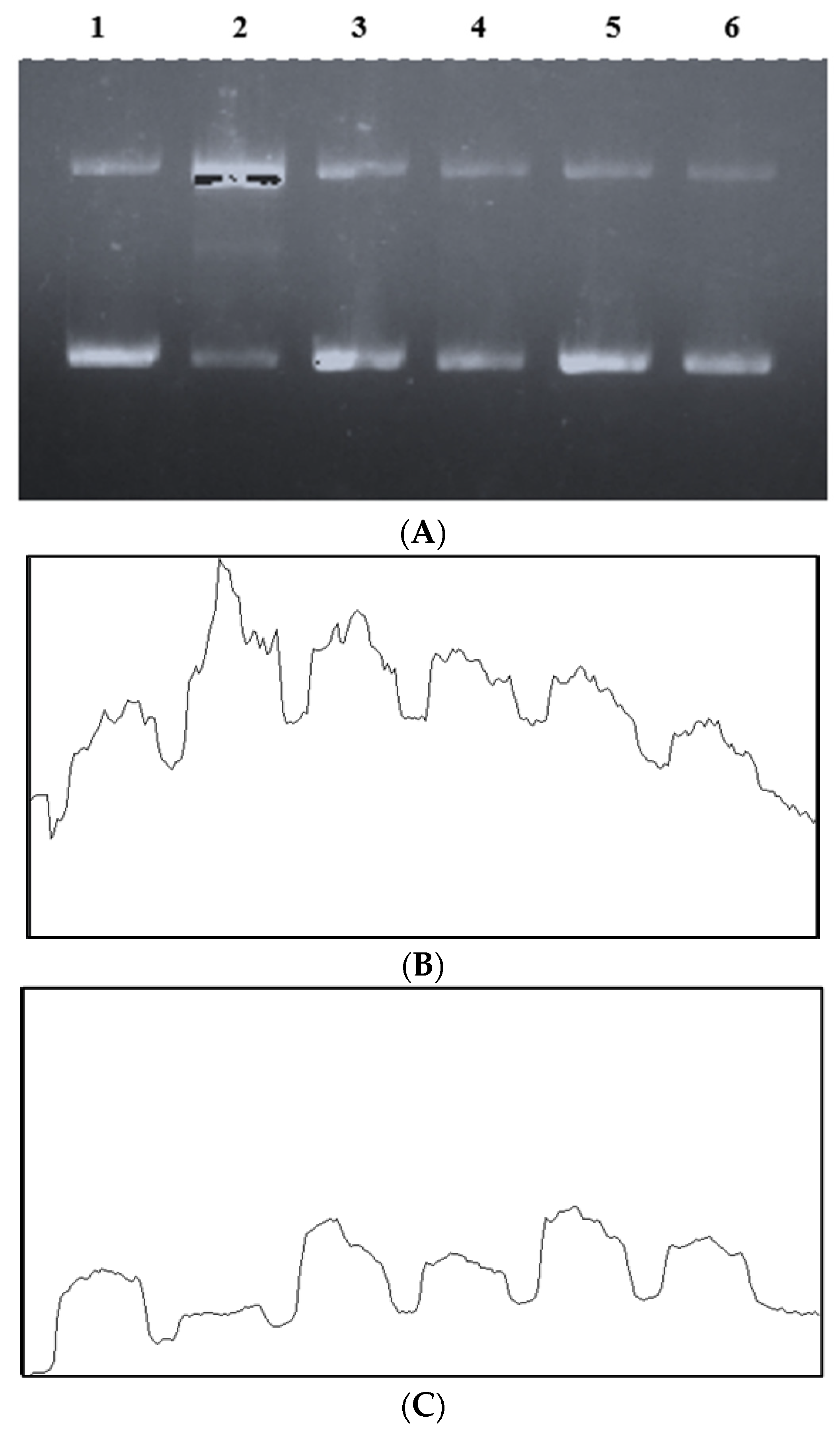 Medicina 58 01816 g012