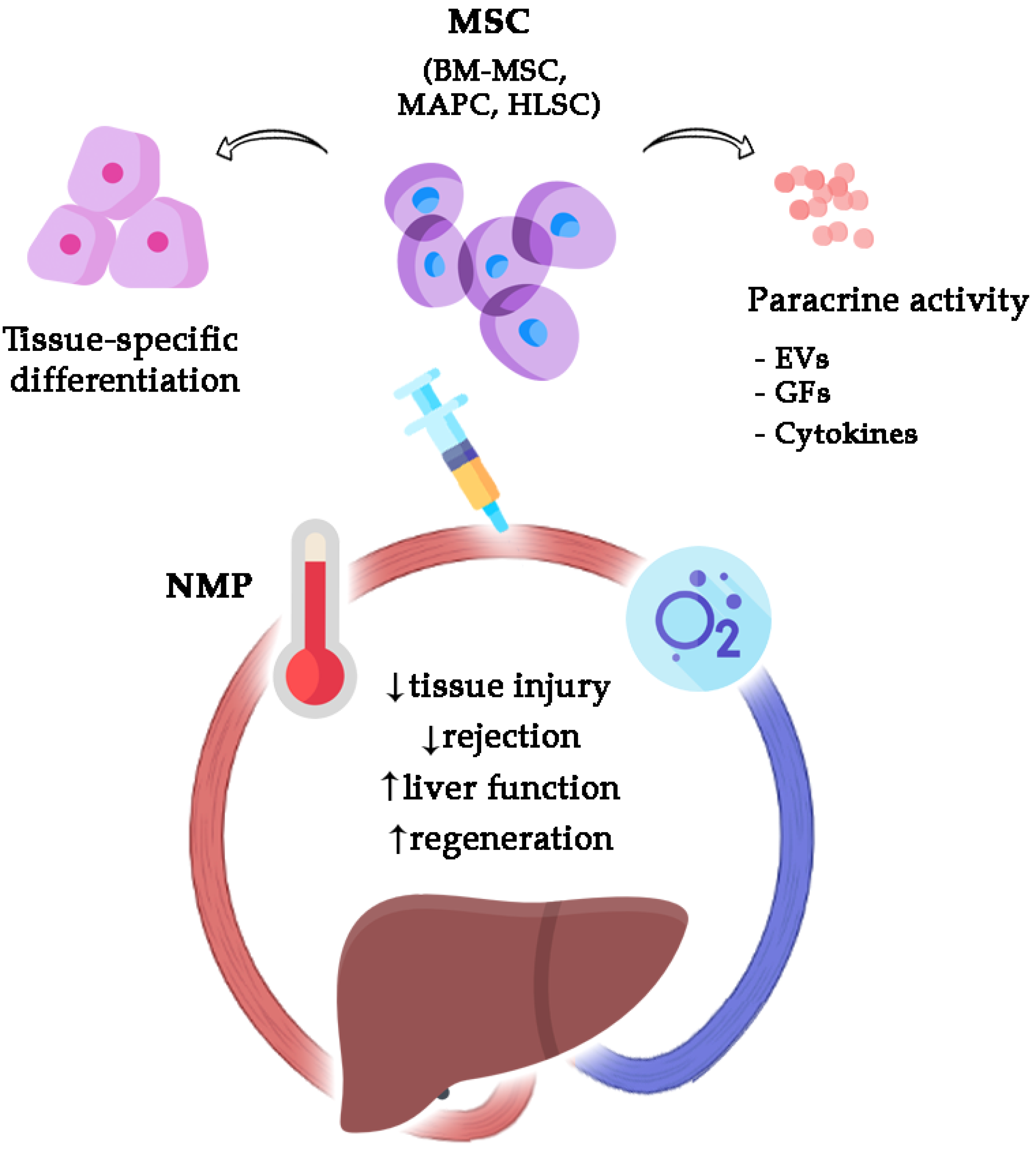 Medicina 58 01826 g001