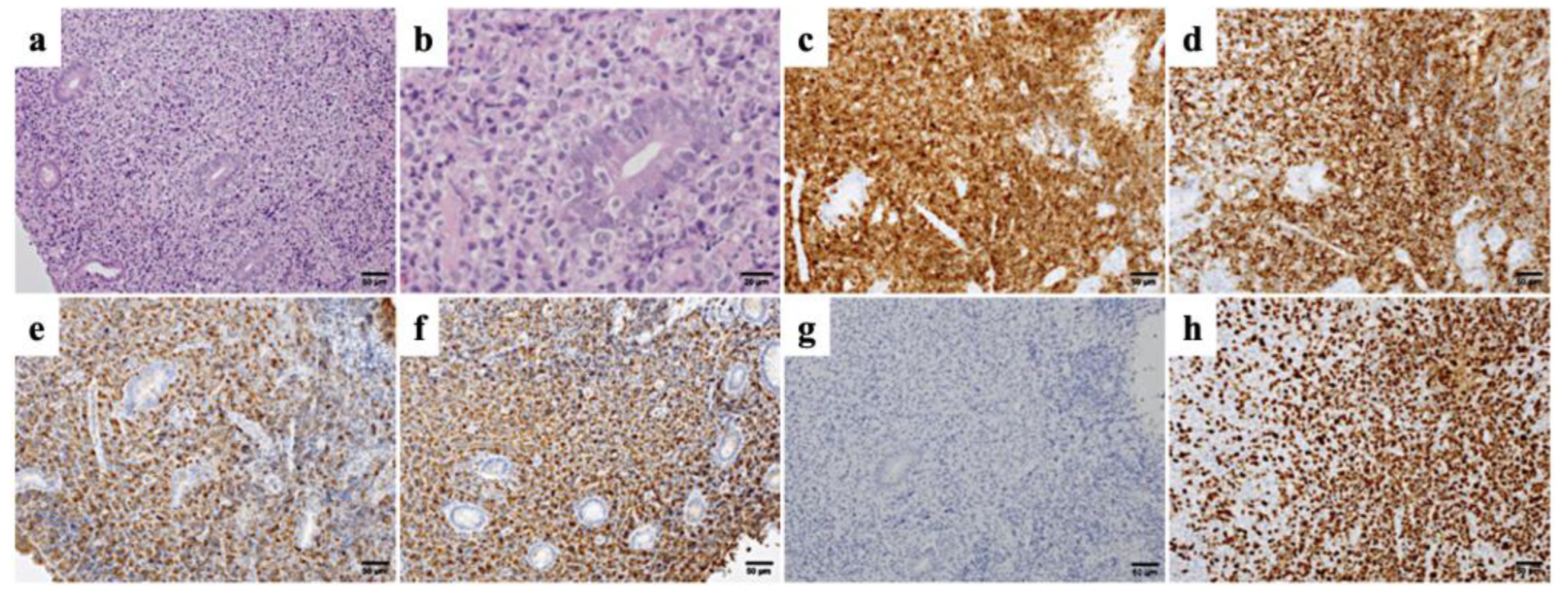 Medicina 58 01830 g003