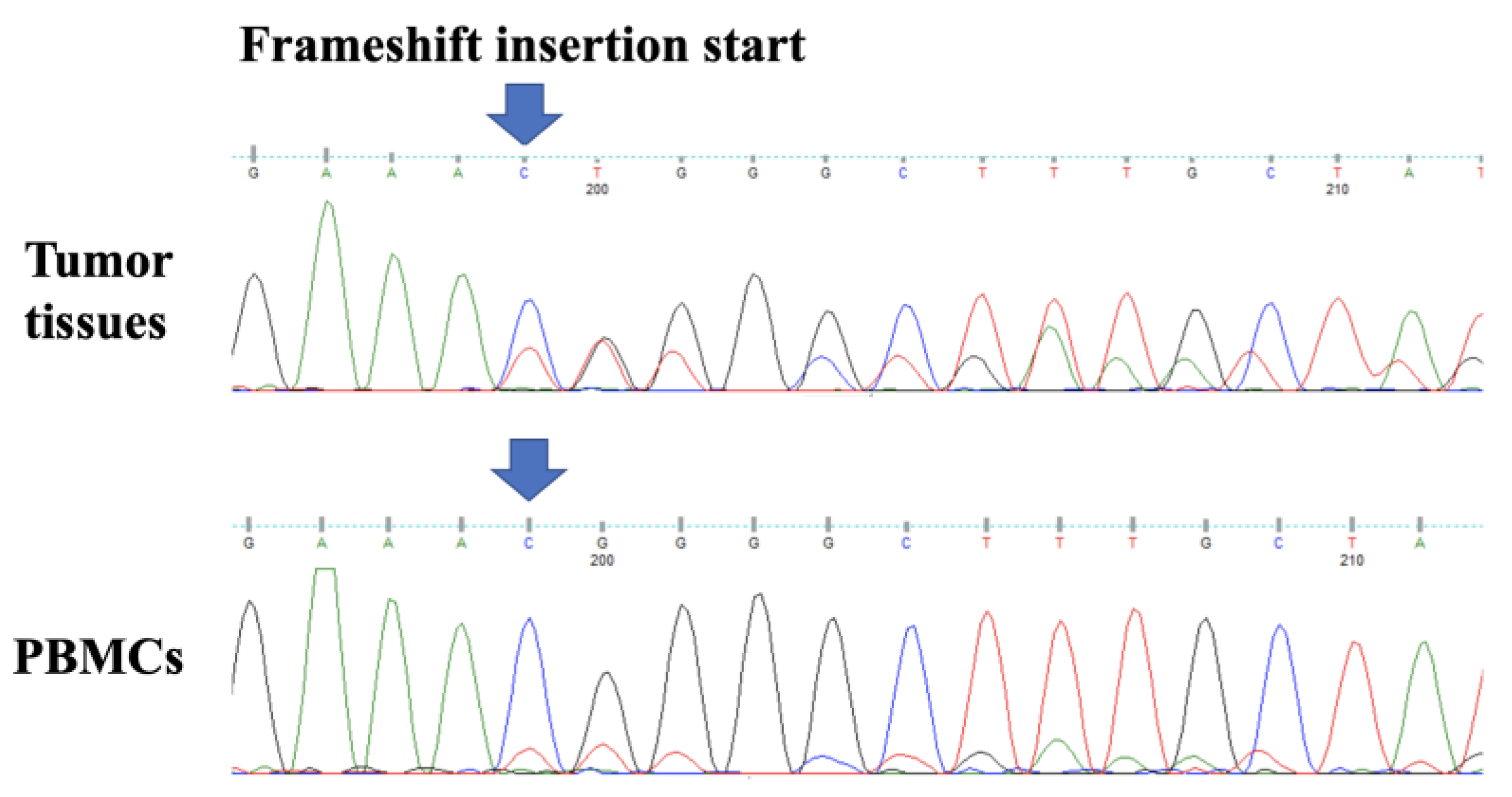 Medicina 58 01830 g004