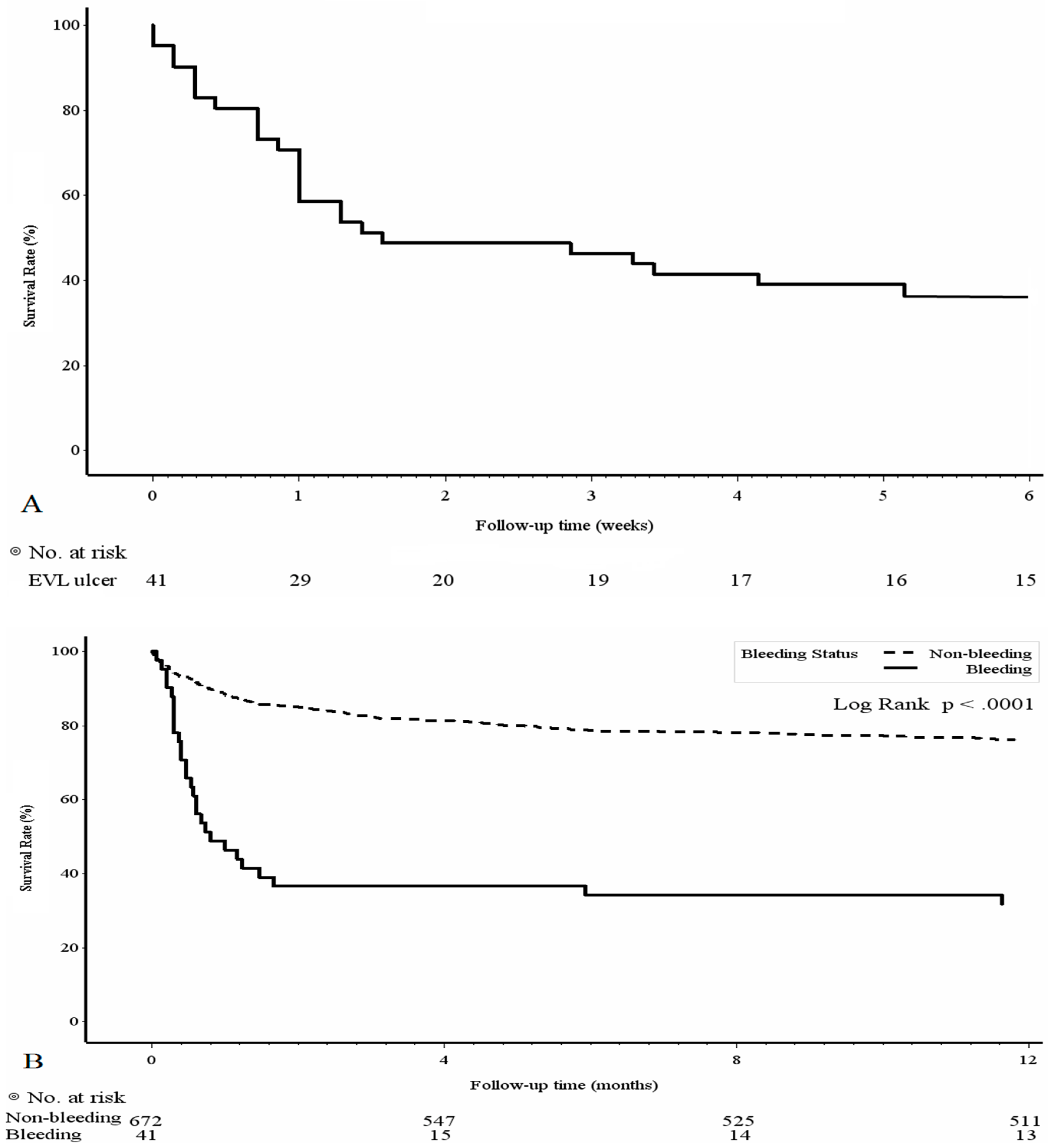 Medicina 58 01836 g001 Medicina 58 01836 g001