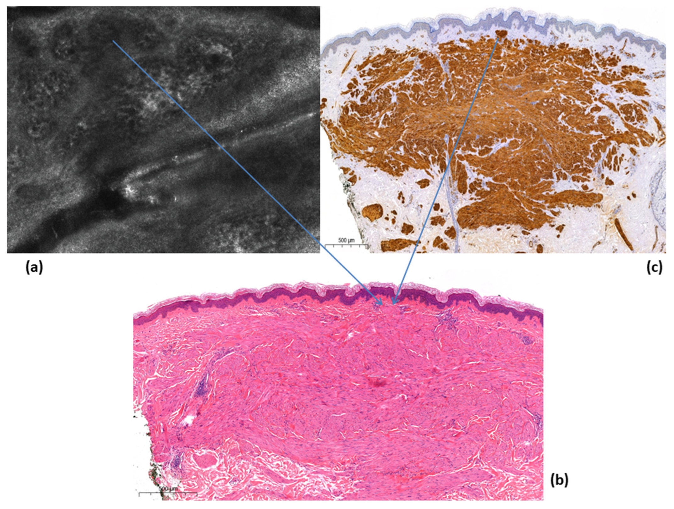 Medicina 58 01845 g003