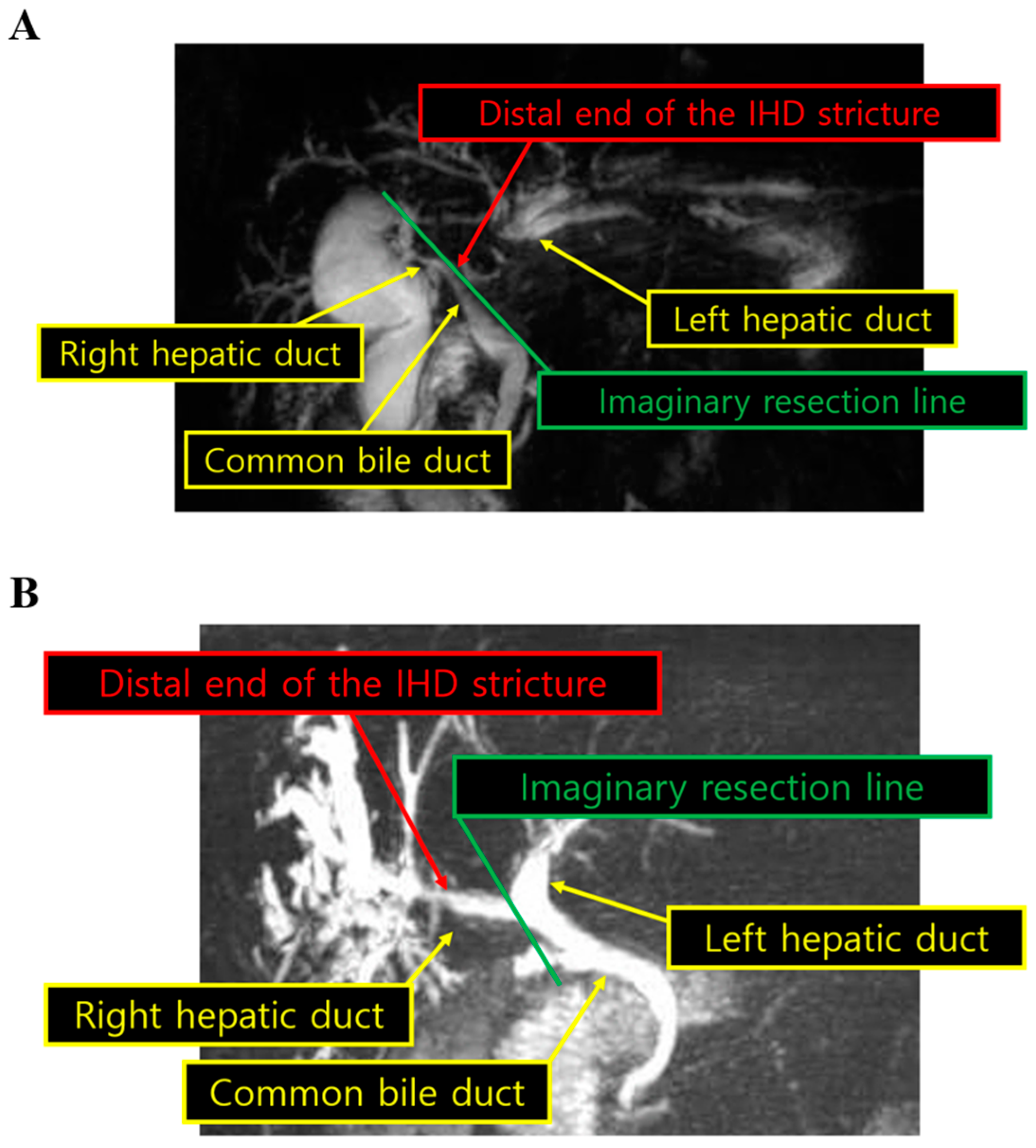 Medicina 58 01847 g001