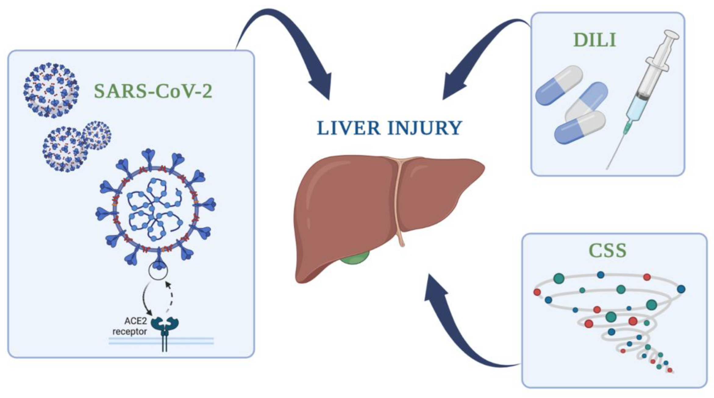 Medicina 58 01848 g001