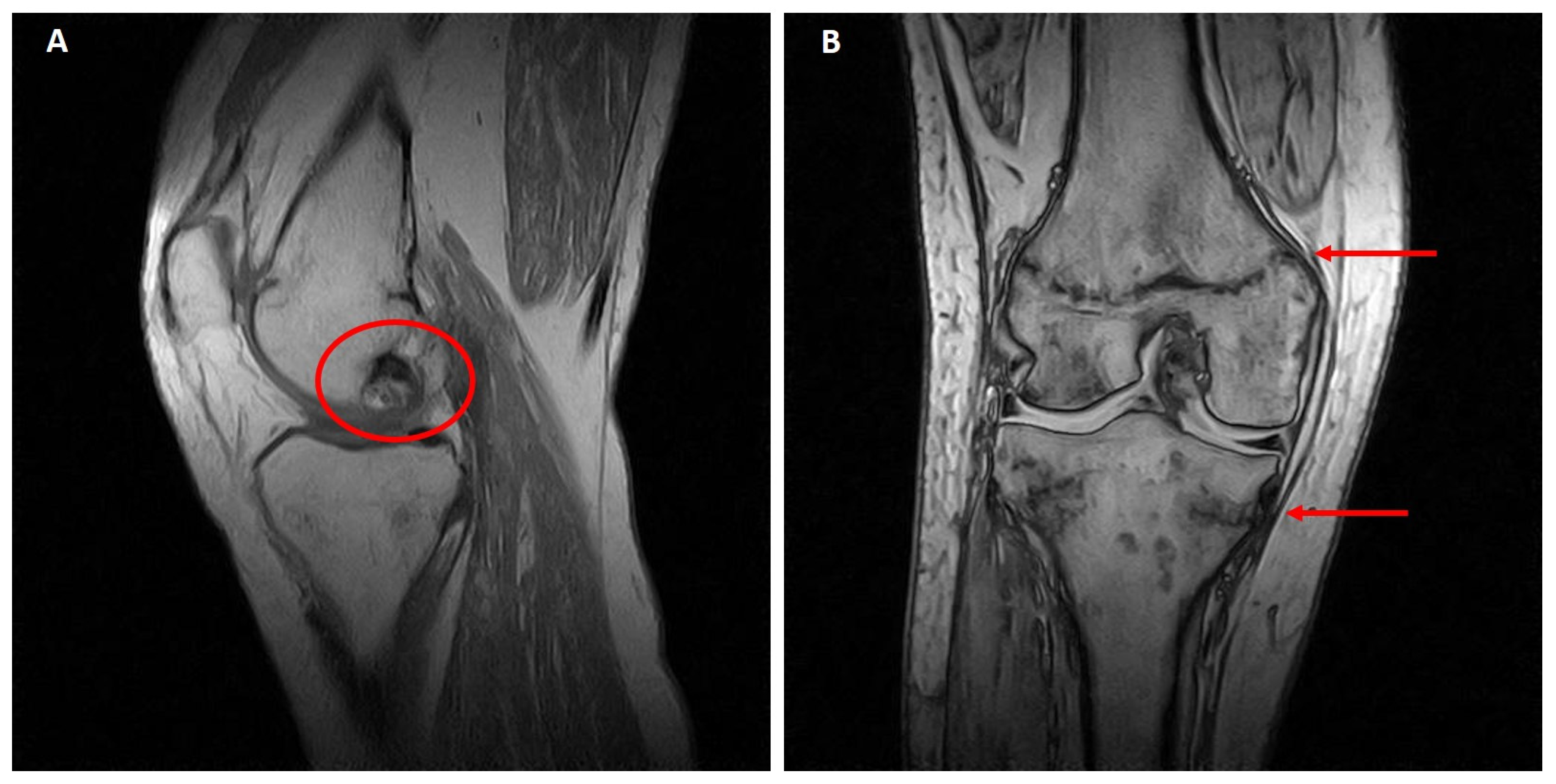 Medicina 58 01875 g002
