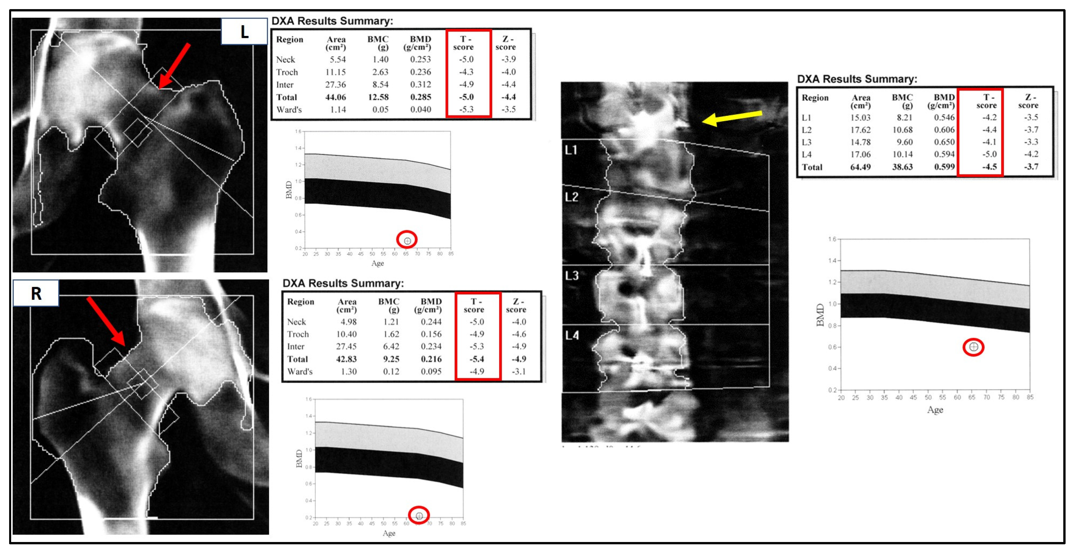 Medicina 58 01875 g003