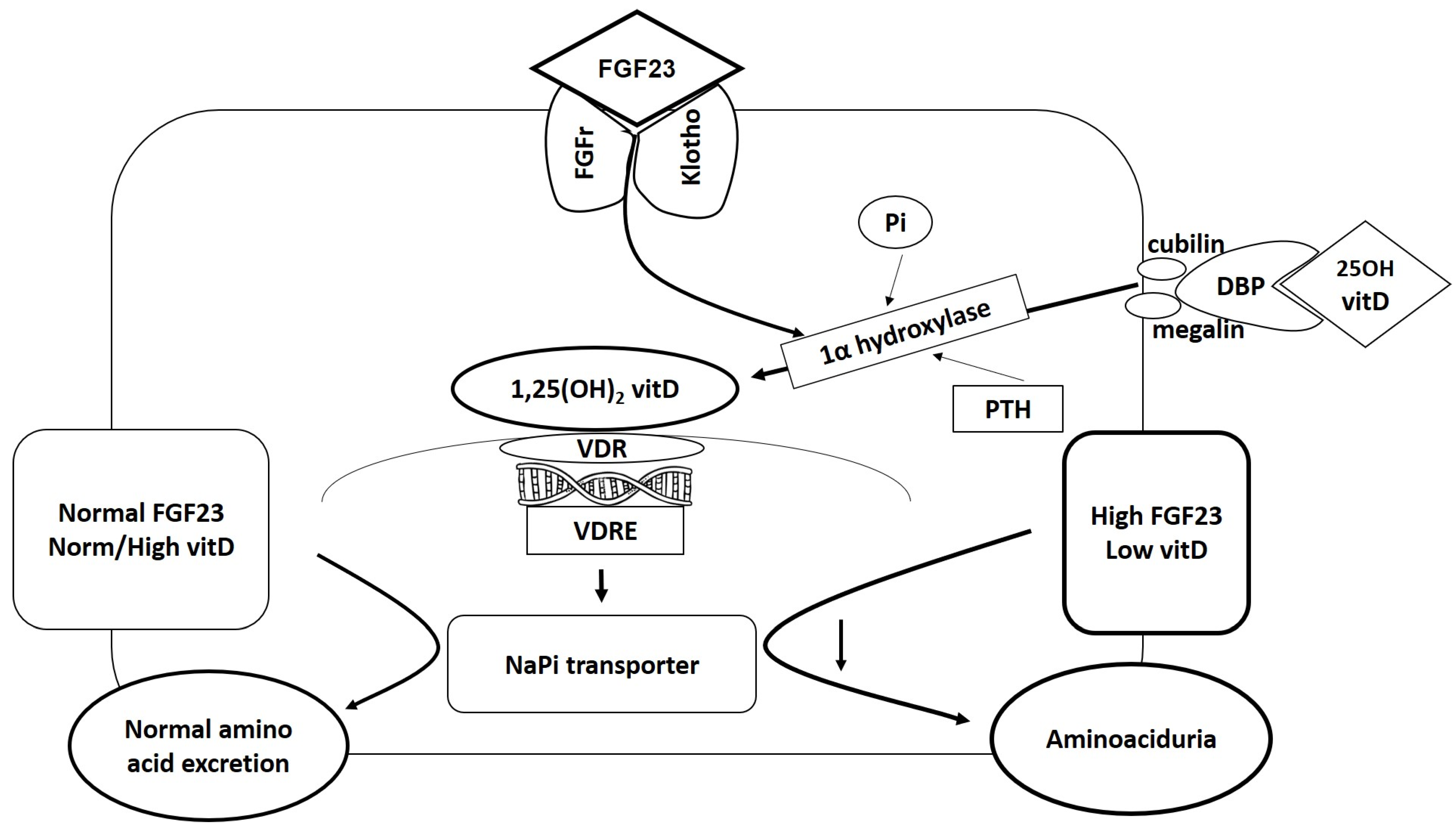 Medicina 58 01875 g006