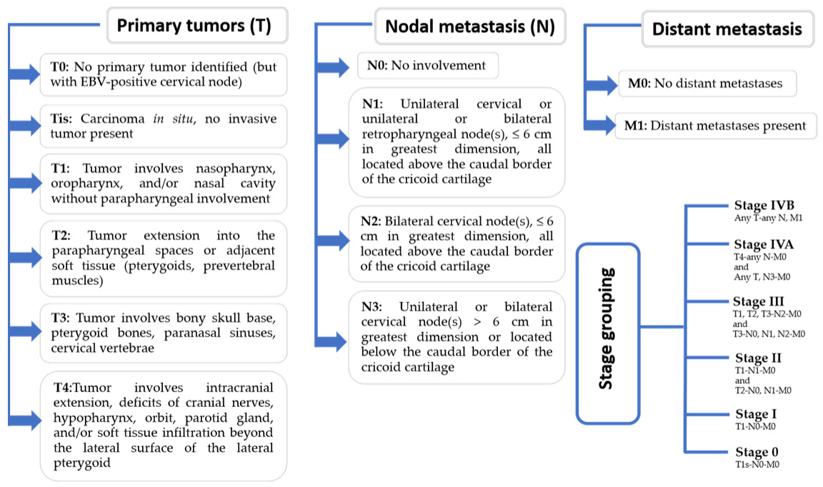 Medicina 59 00002 g001 Medicina 59 00002 g001