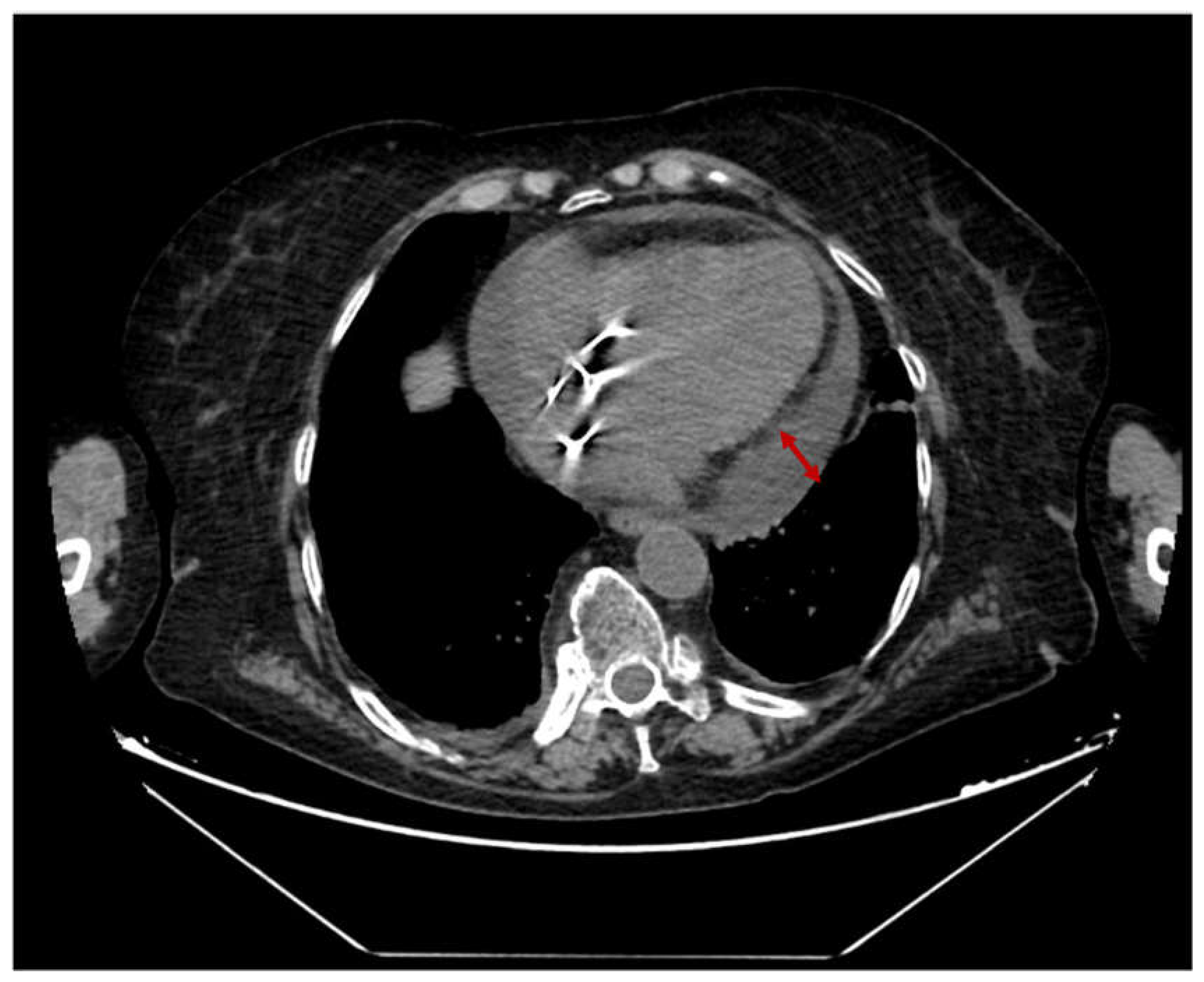 Medicina 59 00003 g002