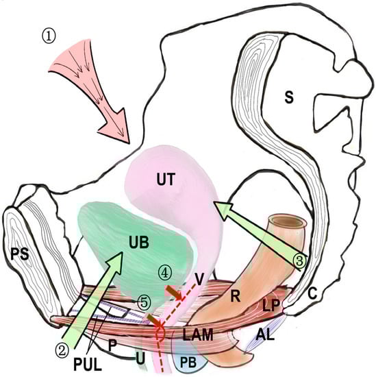 Medicina 59 00005 g002