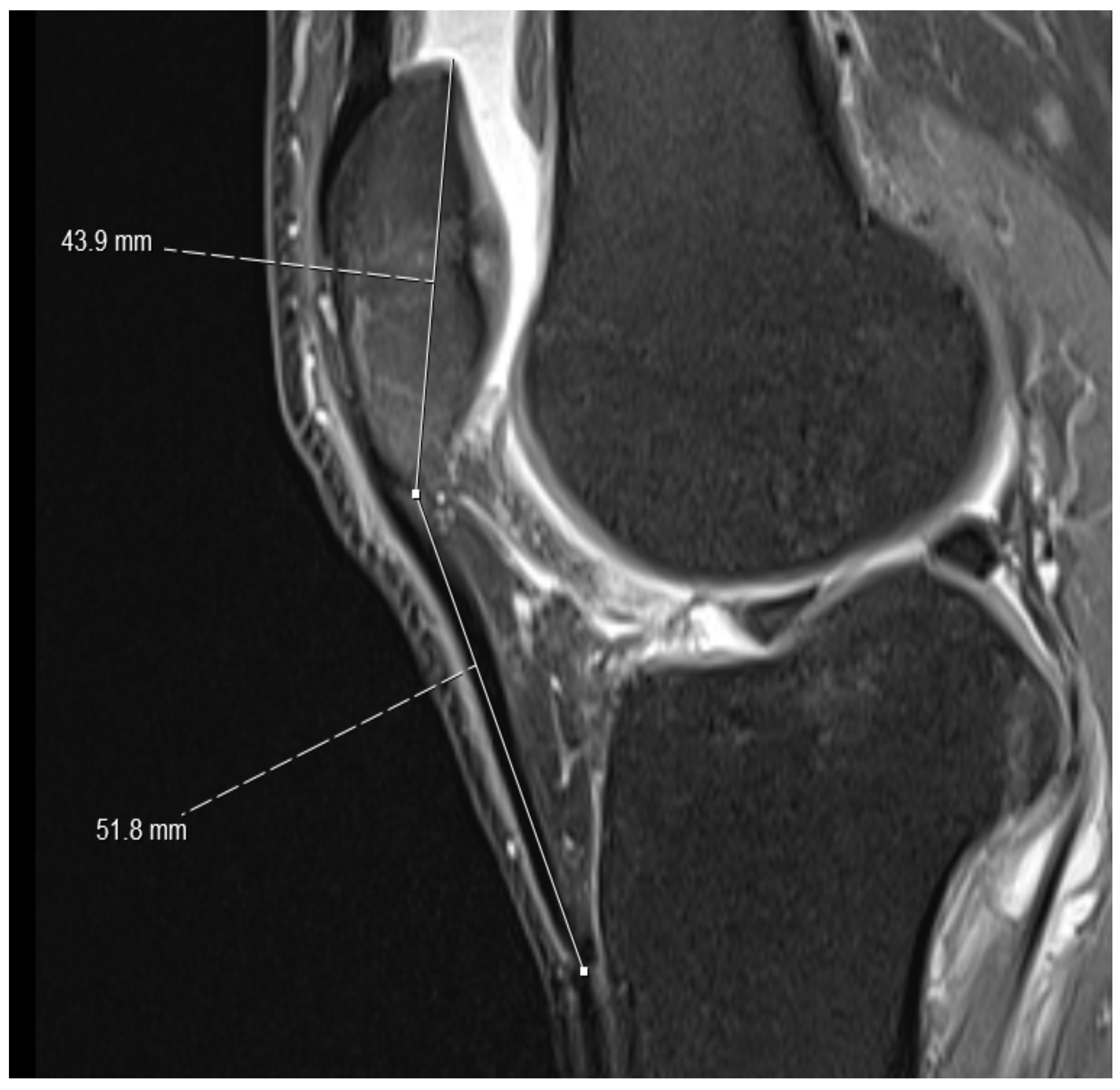 Medicina 59 00027 g001
