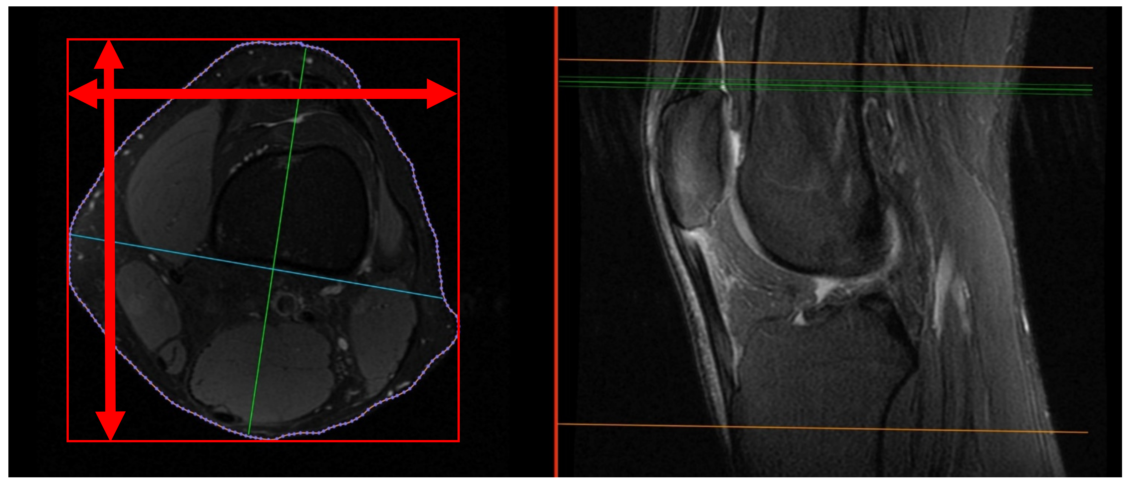 Medicina 59 00027 g002