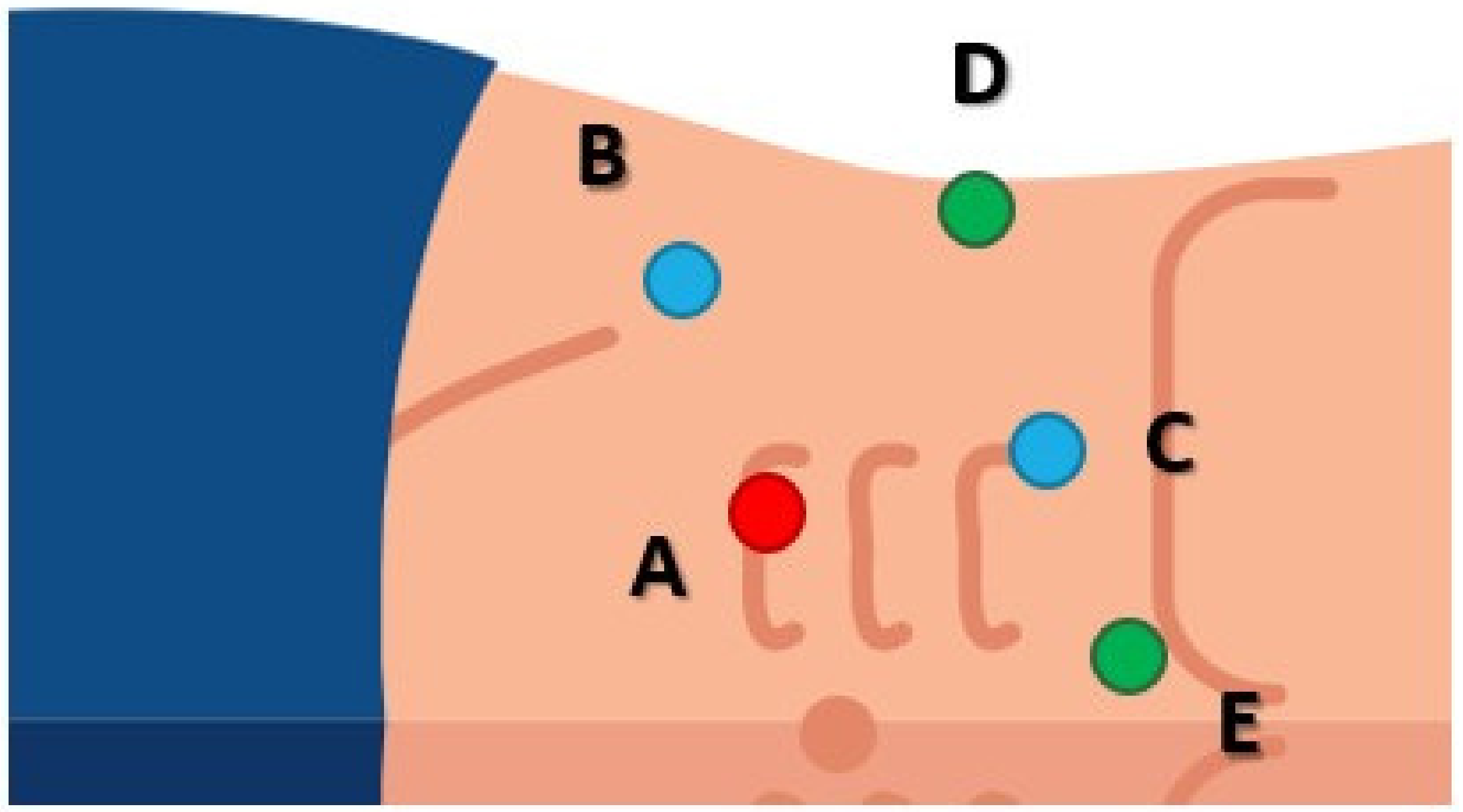 Medicina 59 00033 g002 Medicina 59 00033 g002