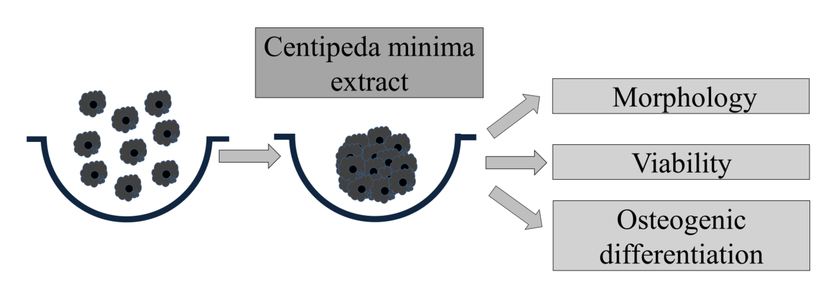Medicina 59 00043 g001