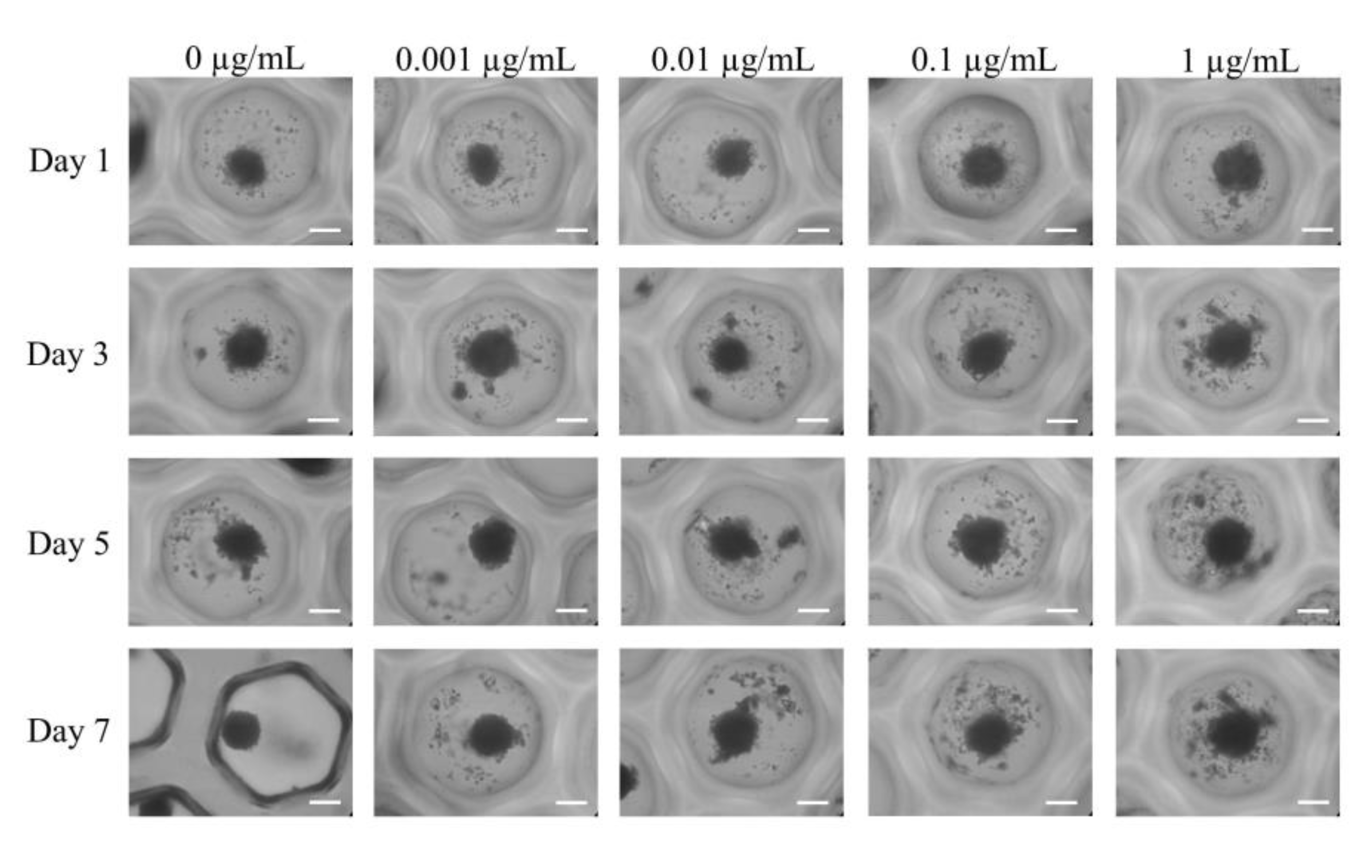 Medicina 59 00043 g002