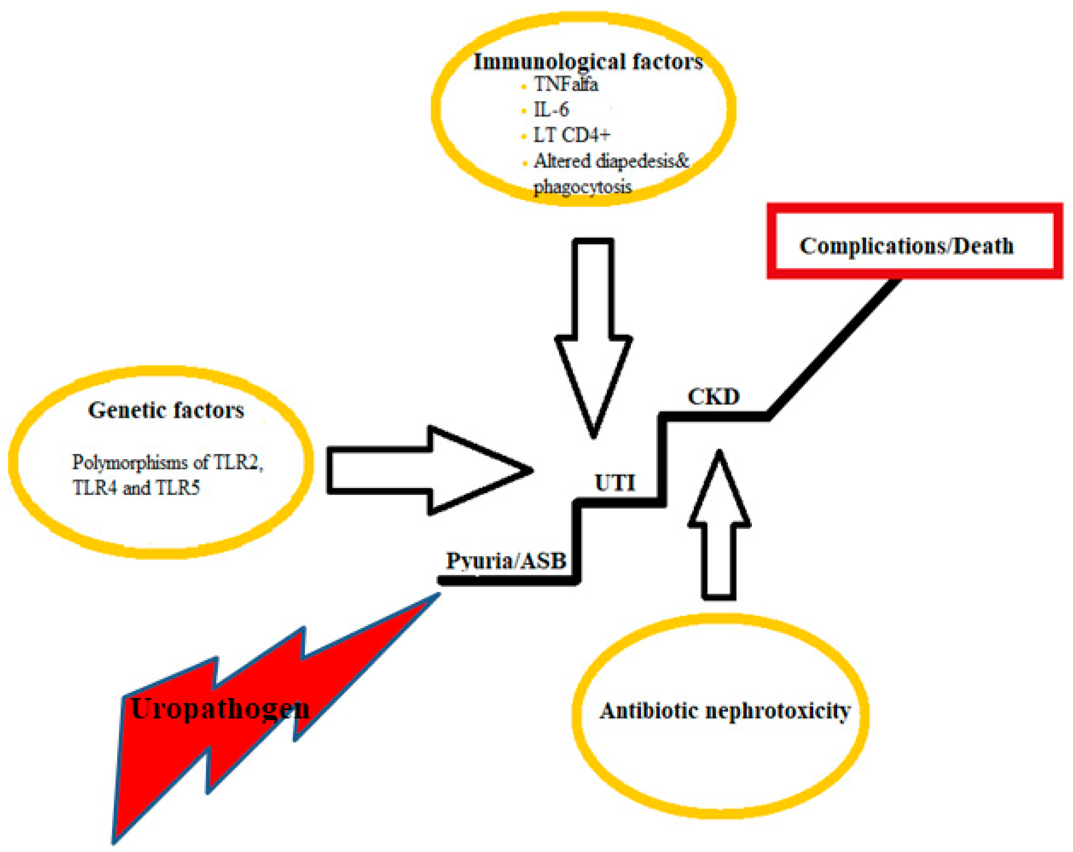 Medicina 59 00049 g001