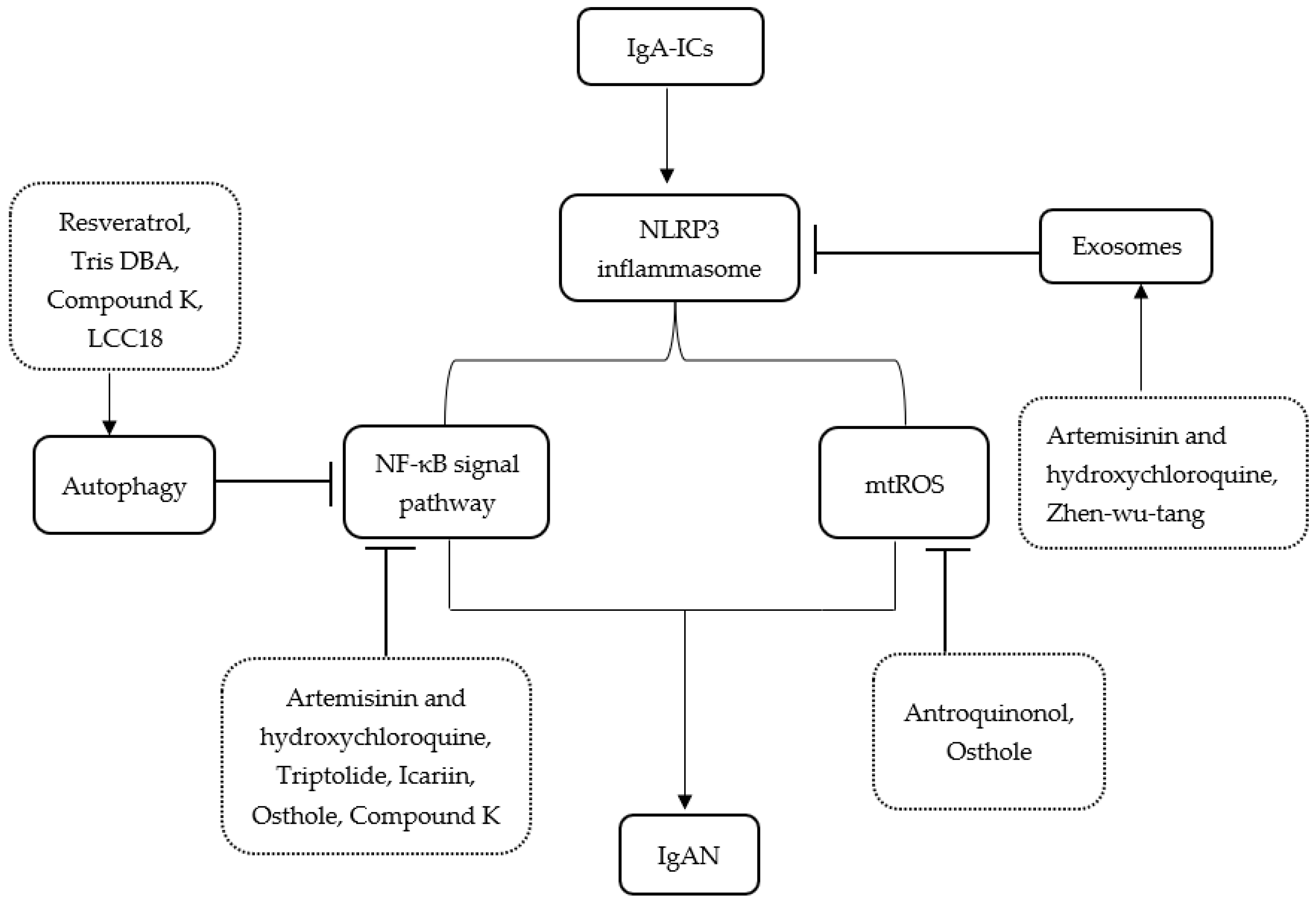 Medicina 59 00082 g001