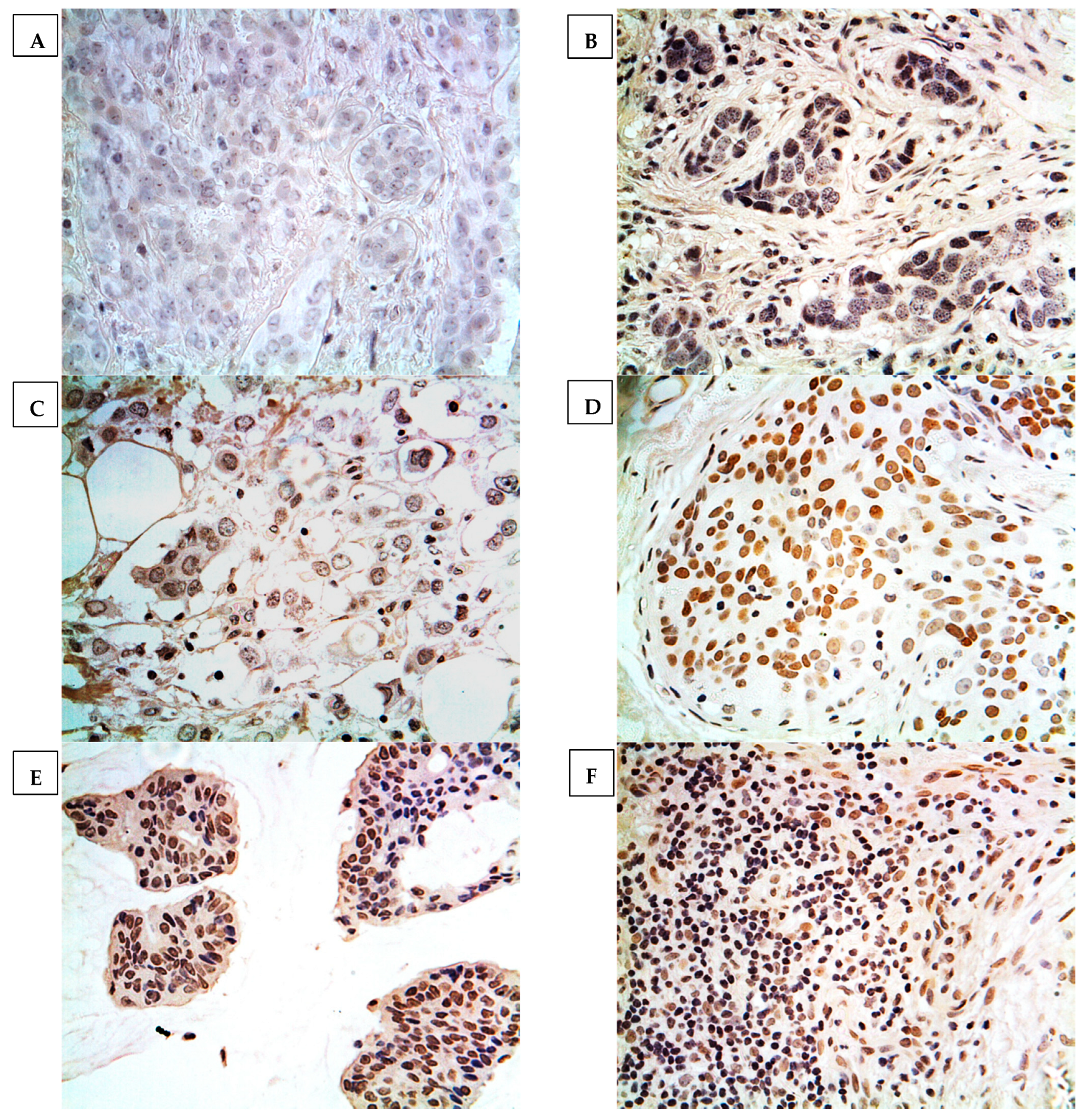 Medicina 59 00086 g001 Medicina 59 00086 g001