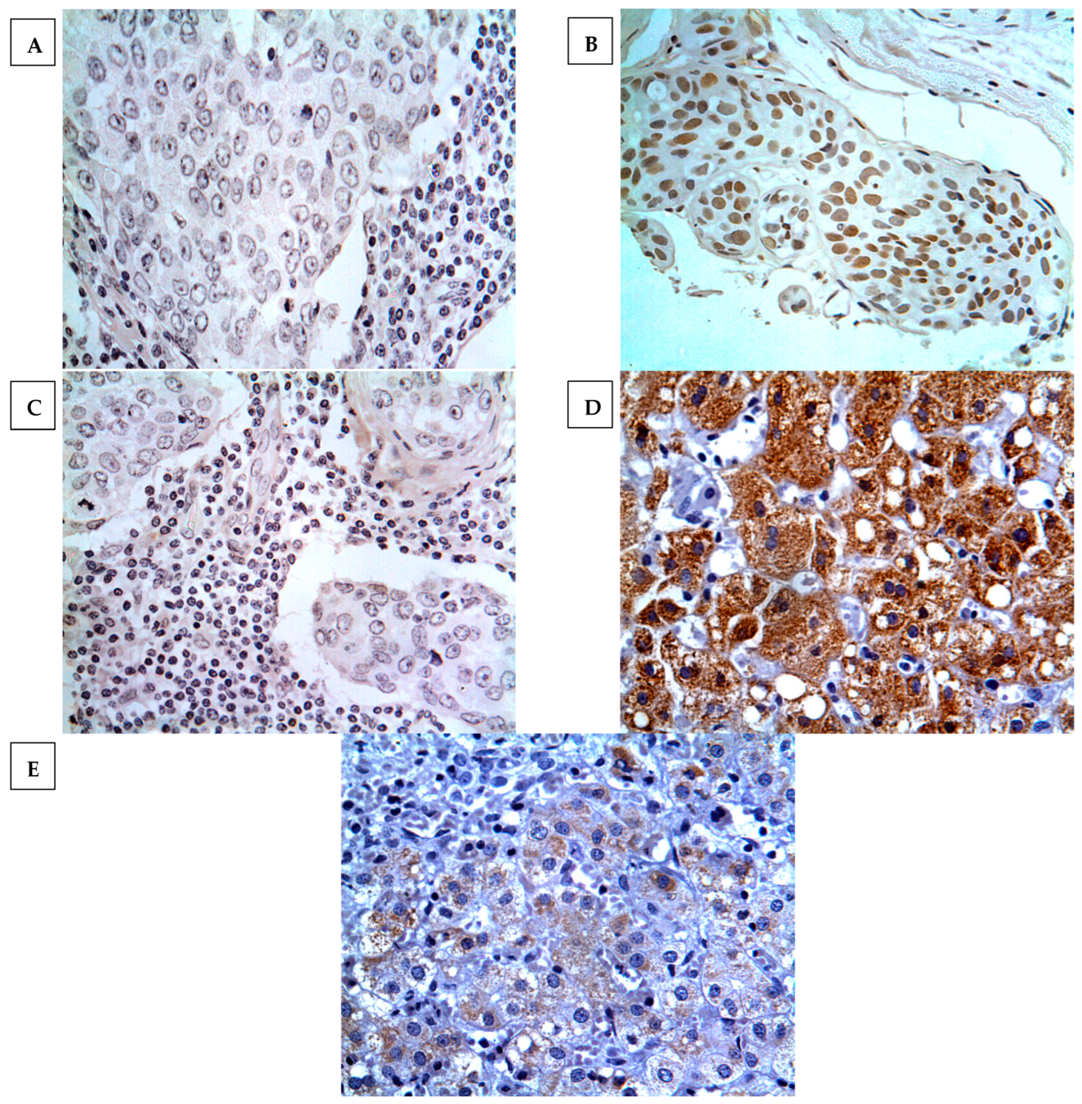 Medicina 59 00086 g002 Medicina 59 00086 g002