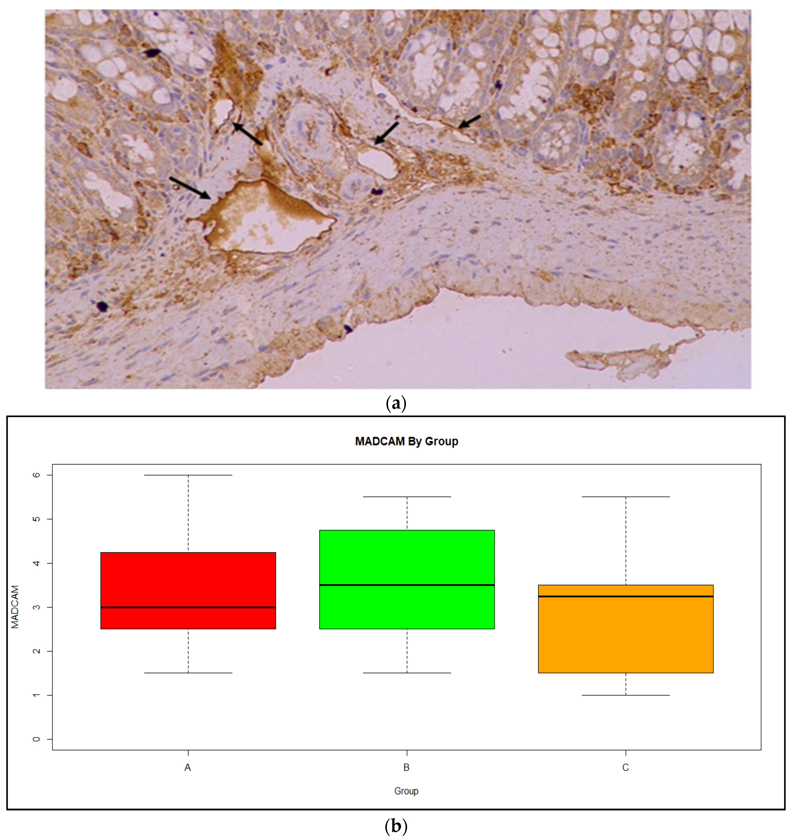Medicina 59 00087 g007 Medicina 59 00087 g007