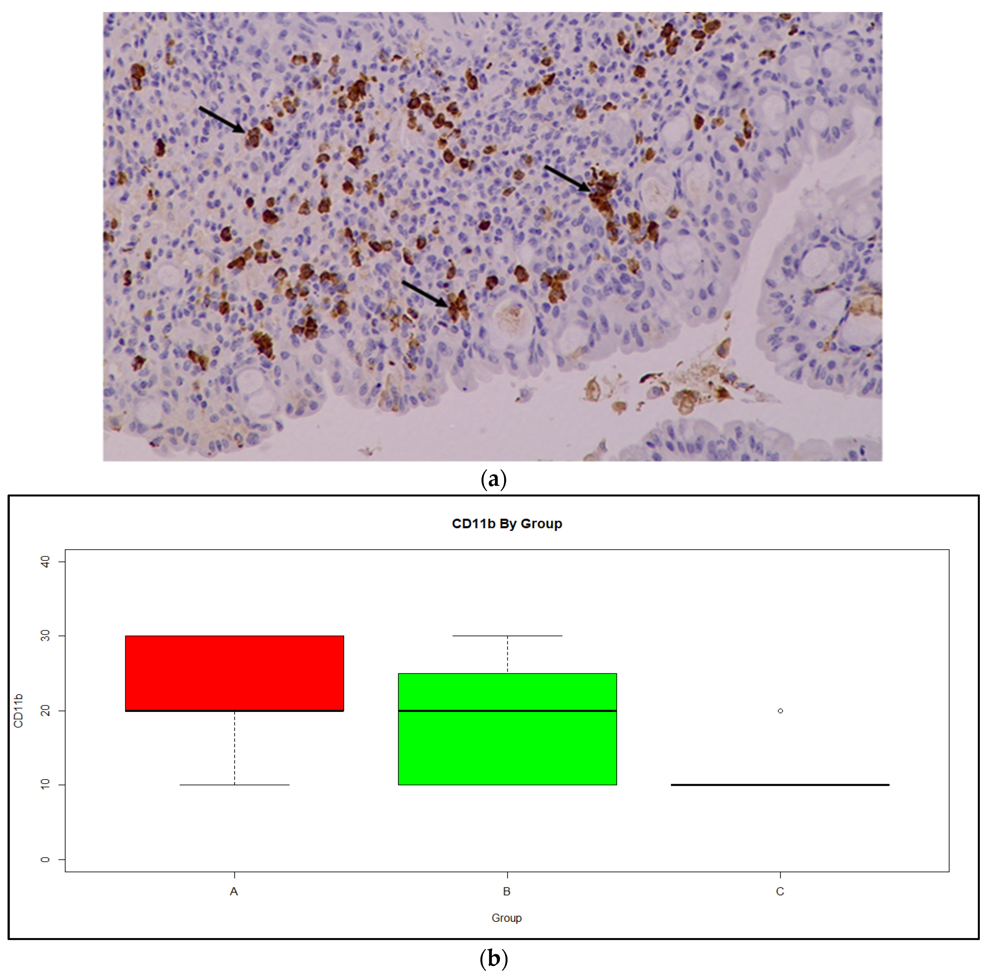 Medicina 59 00087 g008 Medicina 59 00087 g008
