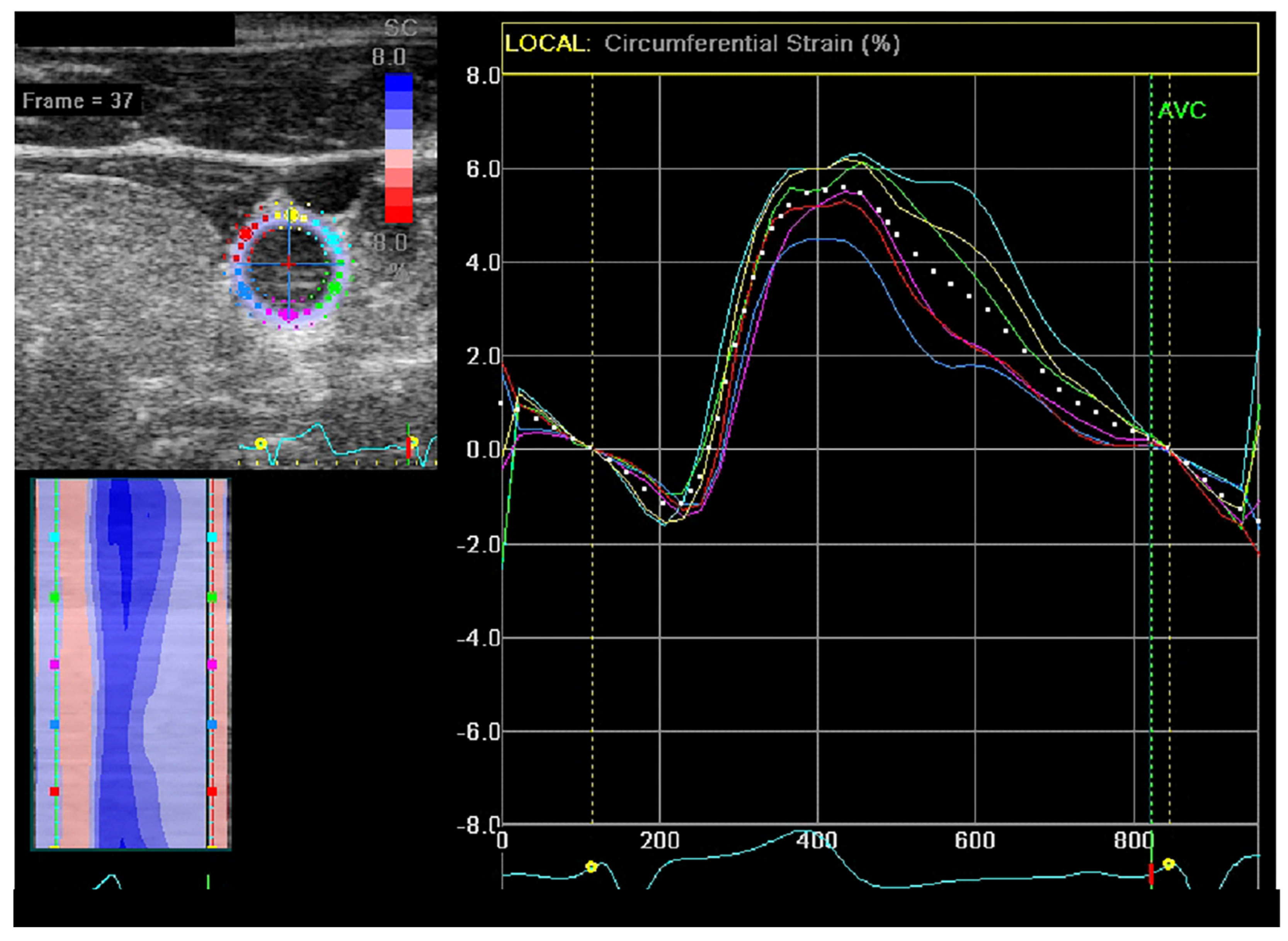 Medicina 59 00102 g001