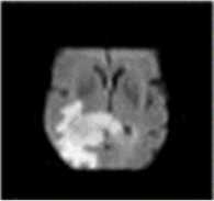 Medicina 59 00119 i003