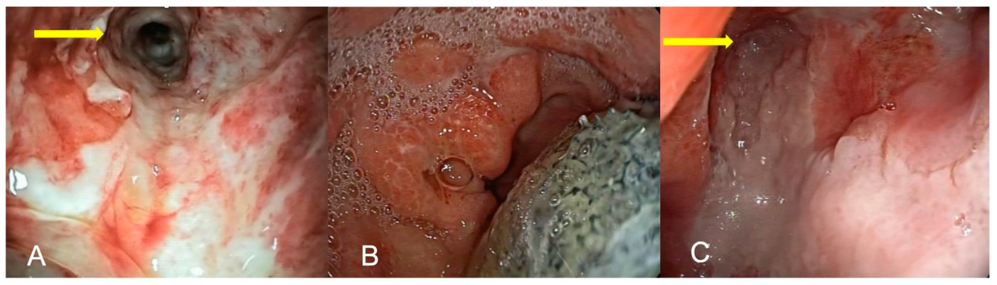 Medicina 59 00136 g001