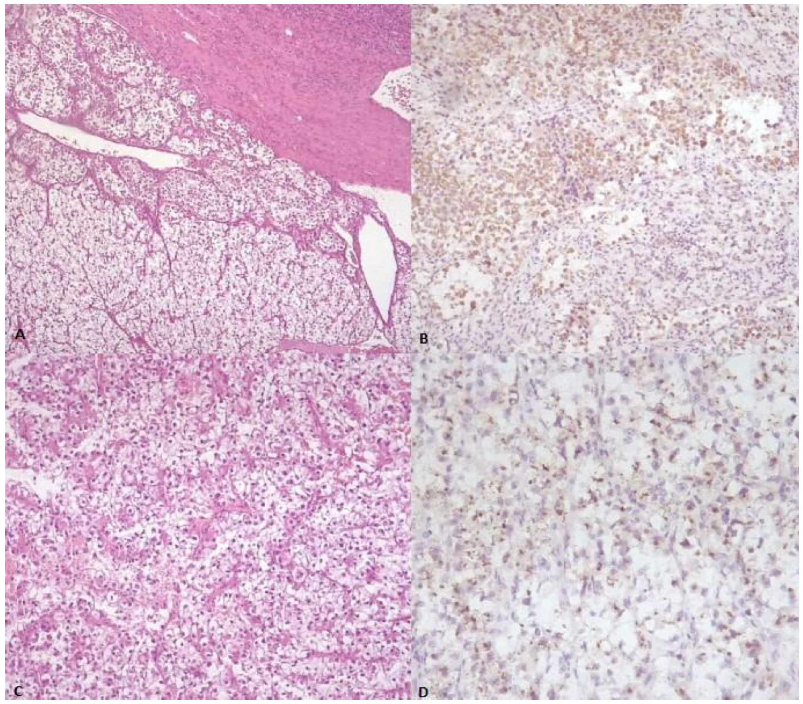 Medicina 59 00149 g001