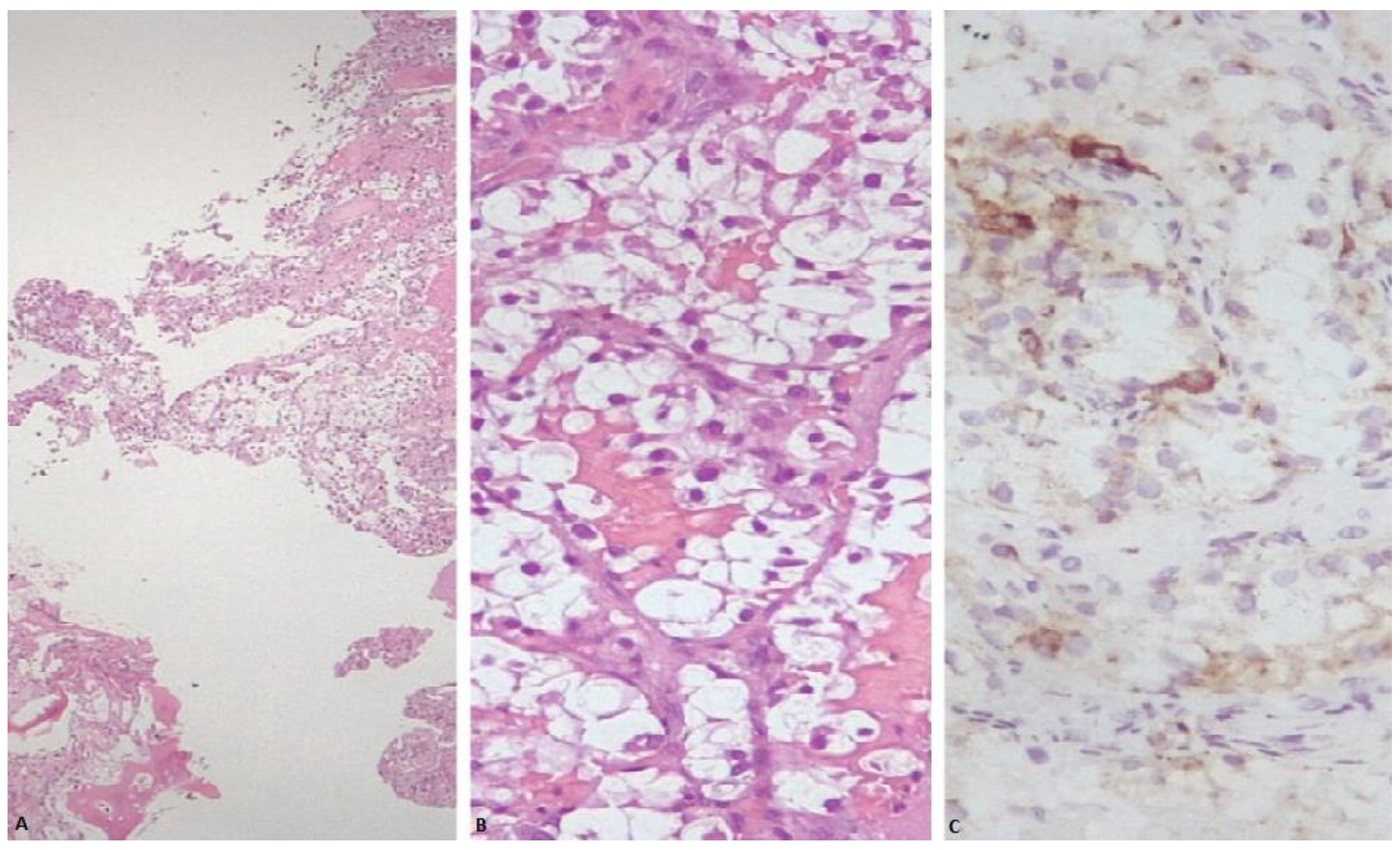 Medicina 59 00149 g002