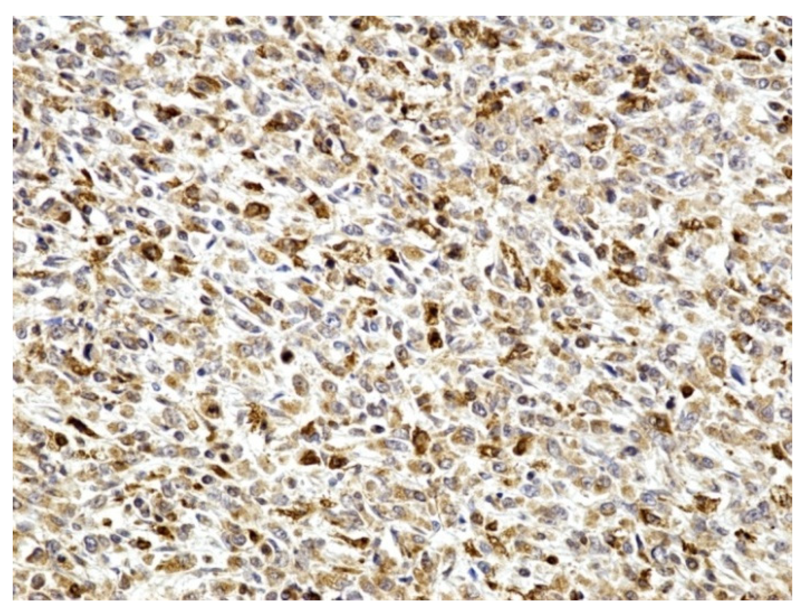 Medicina 59 00156 g004